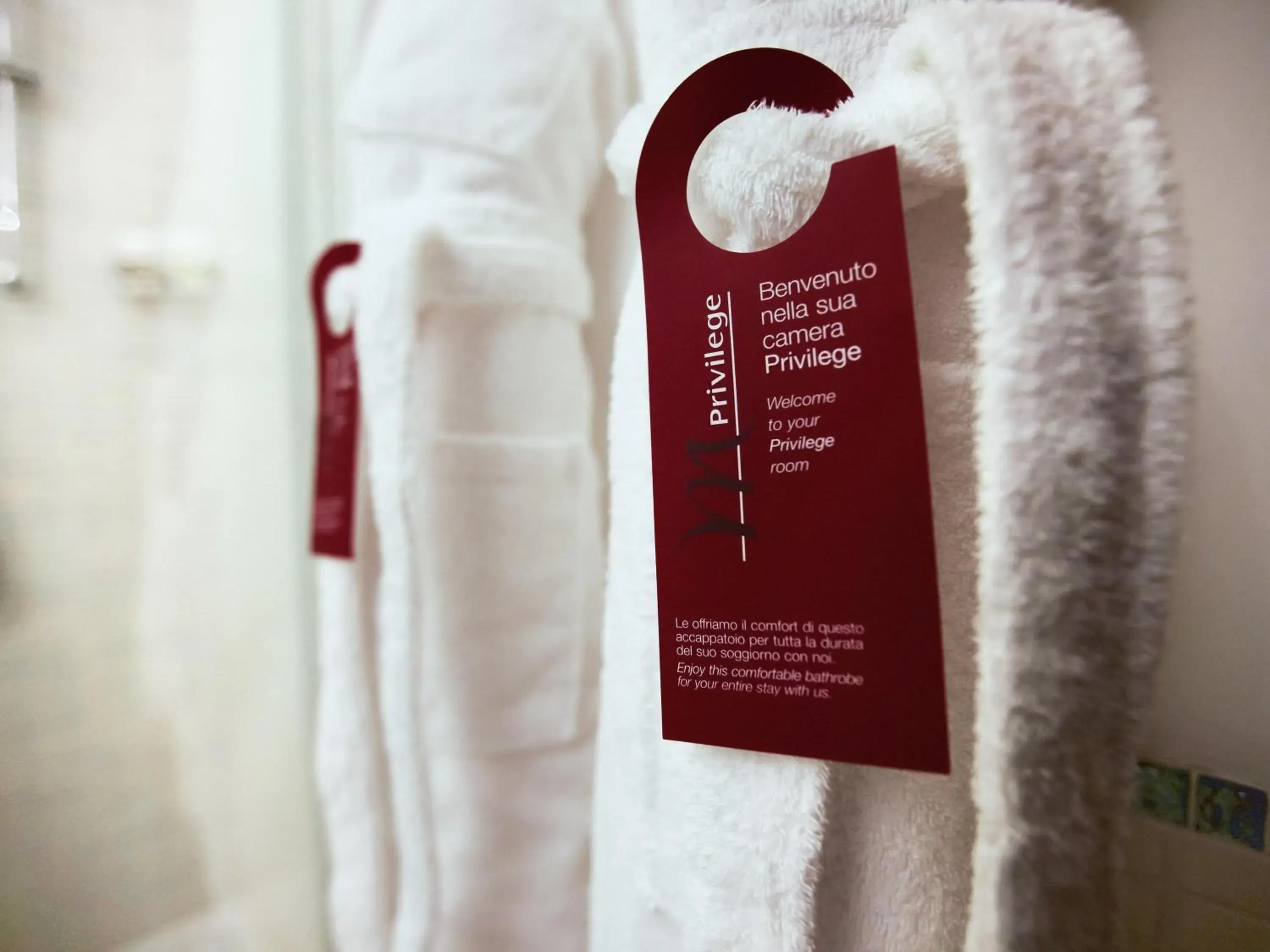 Privilege Room in Mercure Olbia Privilege Room in Mercure Olbia