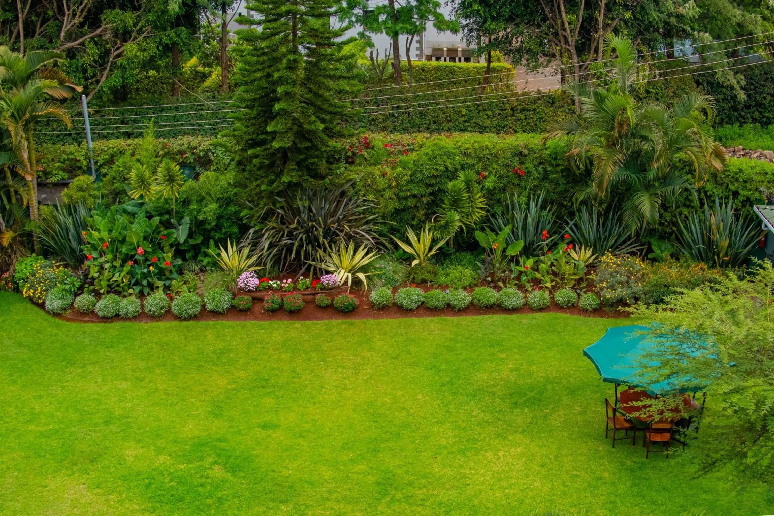Garden in Acacia Tree Lodge