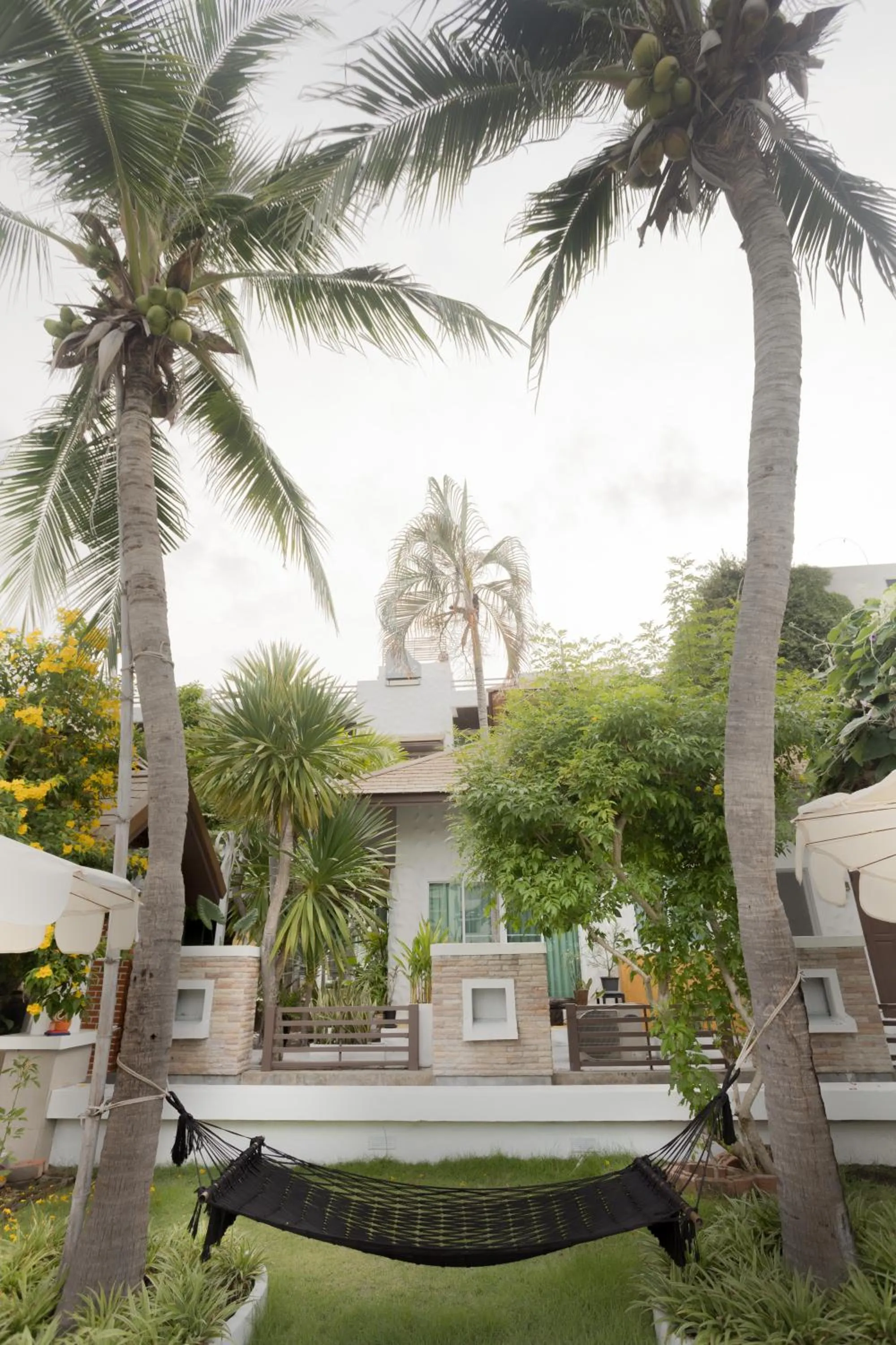 Swimming pool in My Way Hua Hin Music Hotel SHA Extra Plus