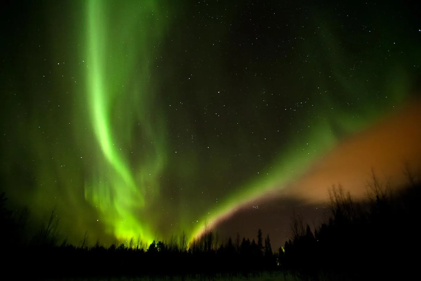 Natural landscape in Hotel Ylläsrinne