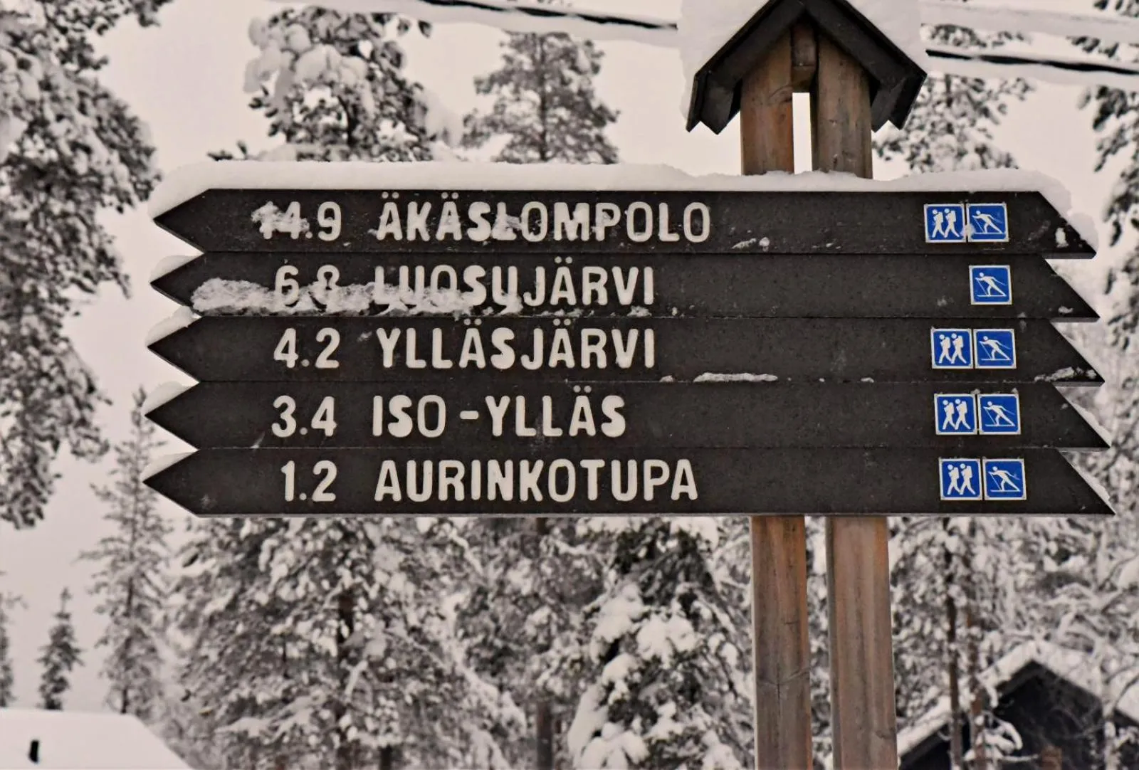 Skiing in Hotel Ylläsrinne