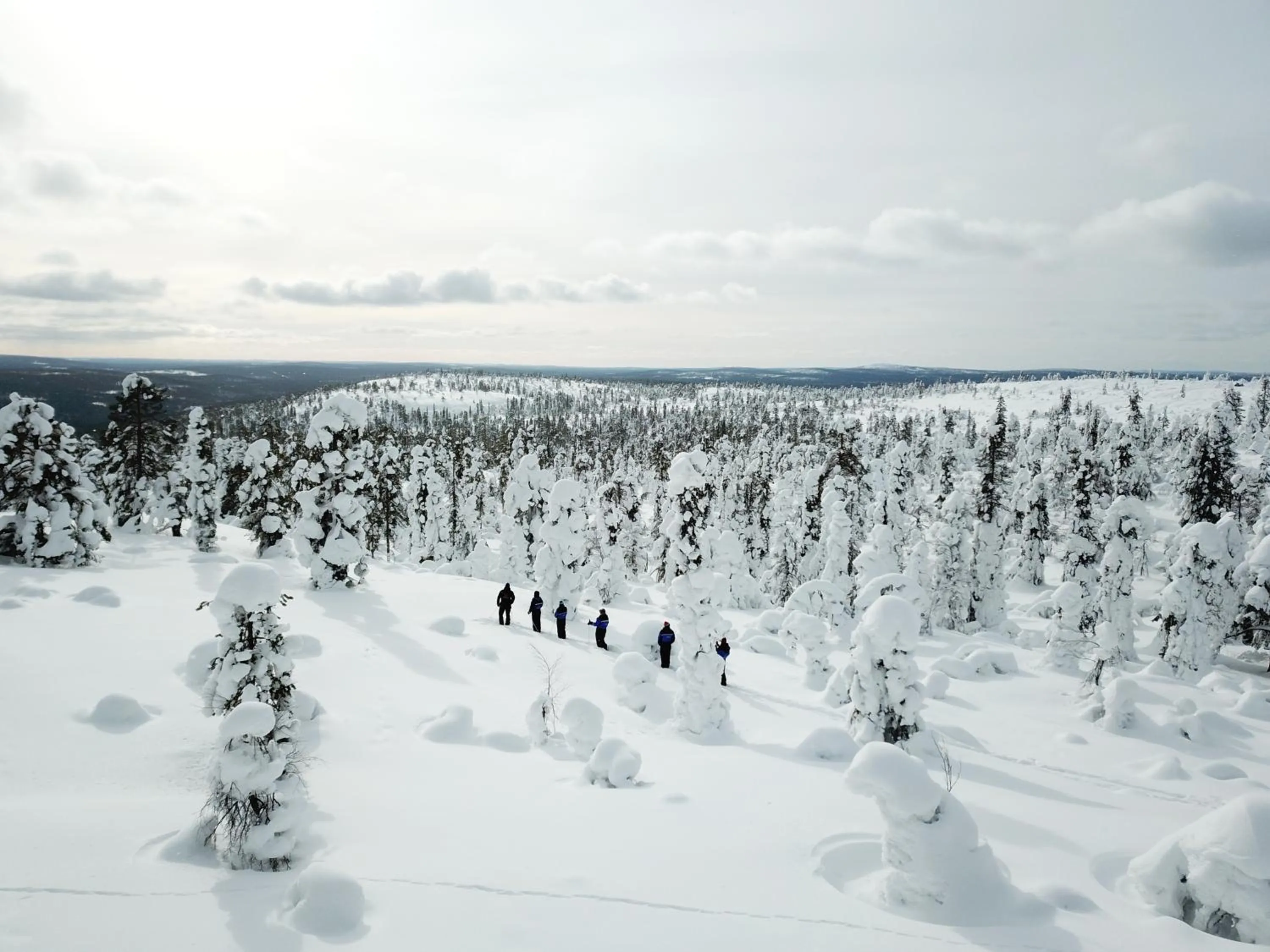 Natural landscape in Hotel Ylläsrinne
