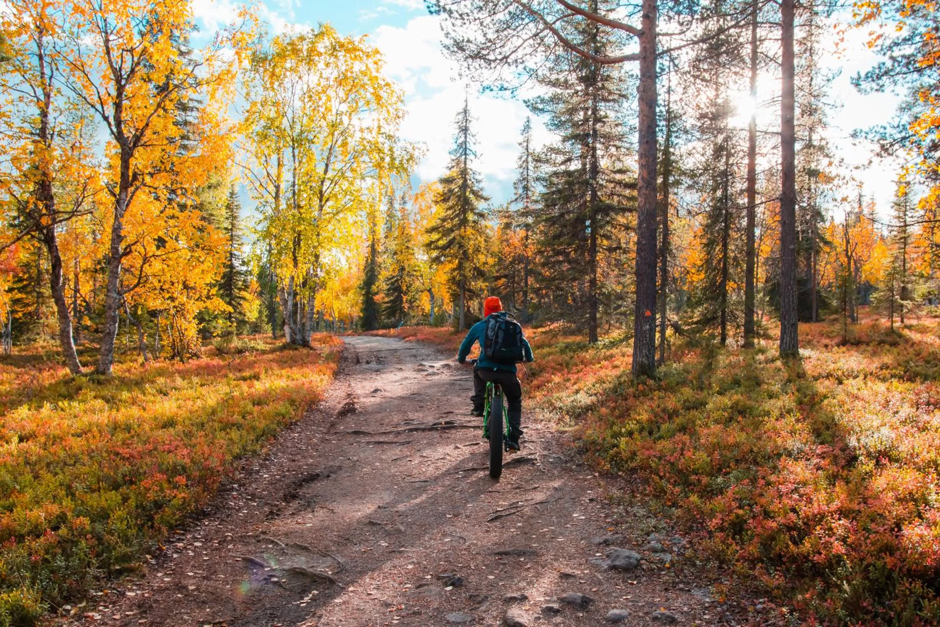 Cycling in Hotel Ylläsrinne