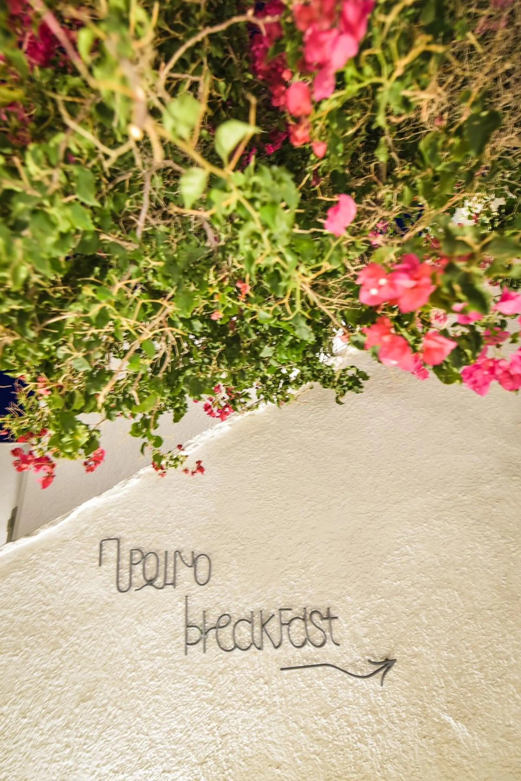 Restaurant/places to eat in Cavos