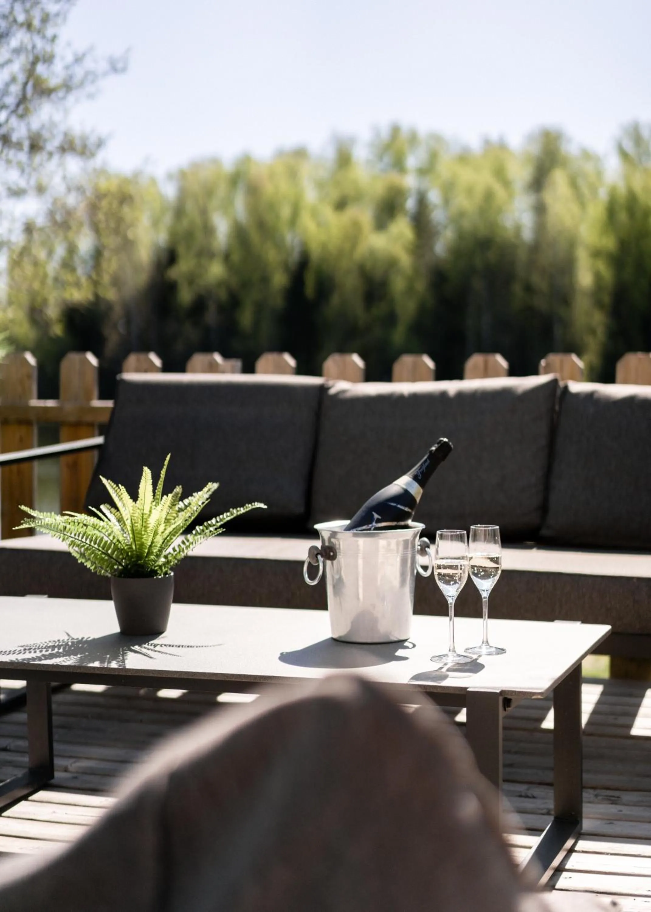 Patio in Hotel Waltikka