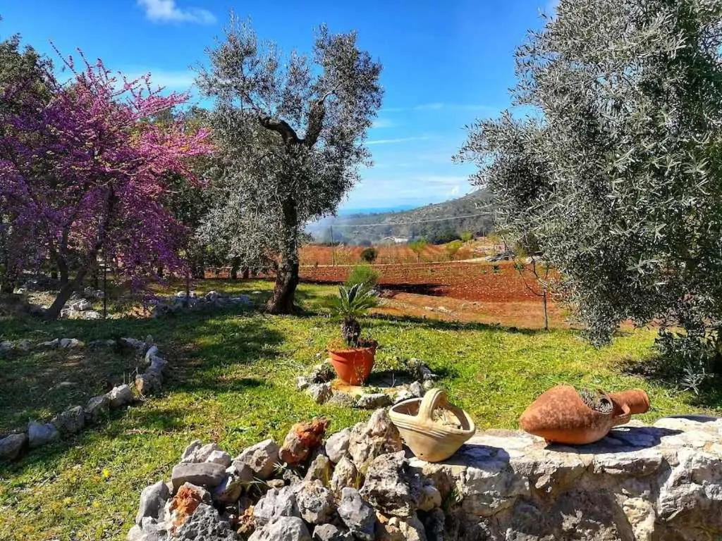 VILLA CYCAS relax tra mare e natura