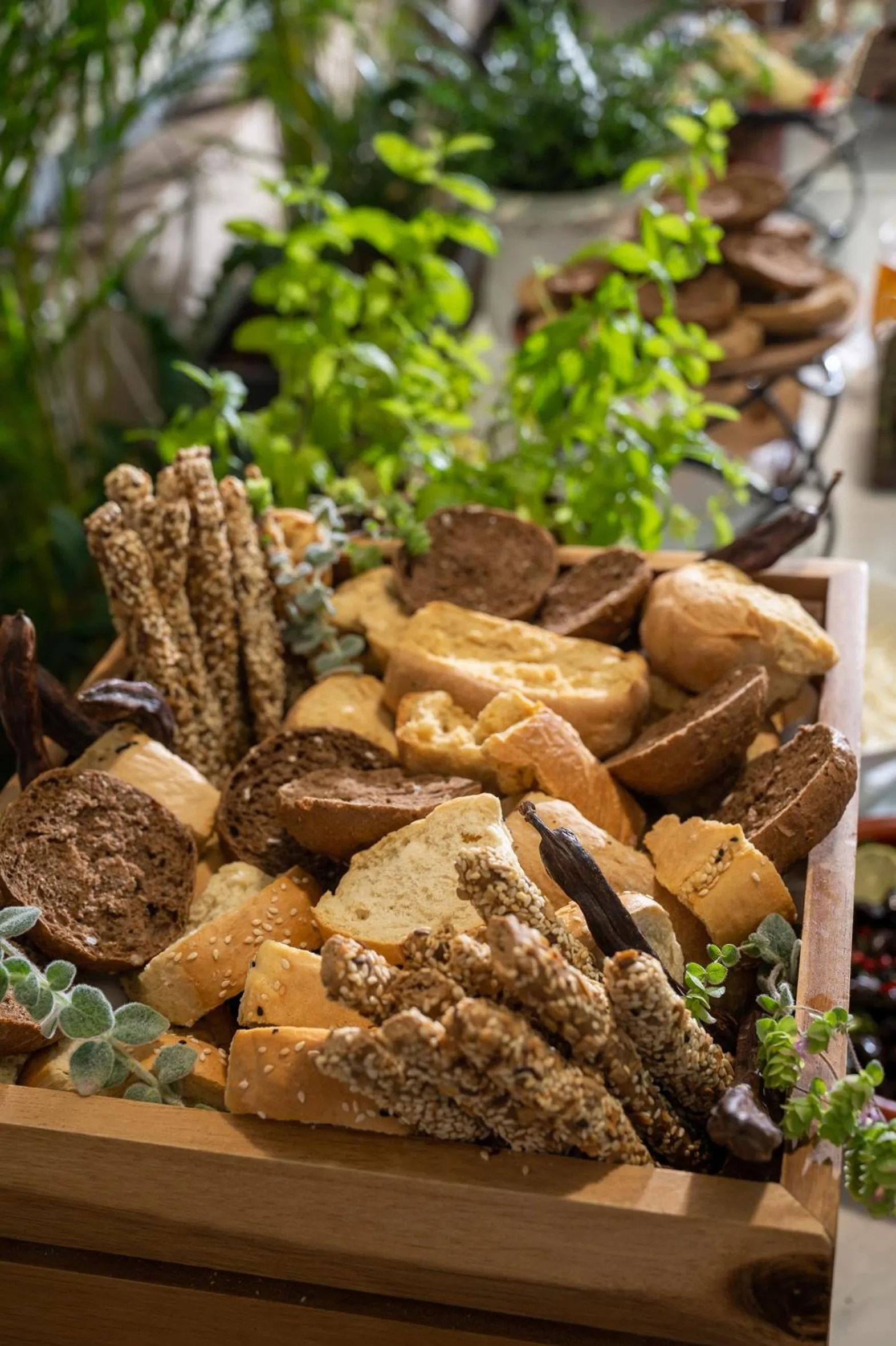 Restaurant/places to eat in Royal & Imperial Belvedere Resort