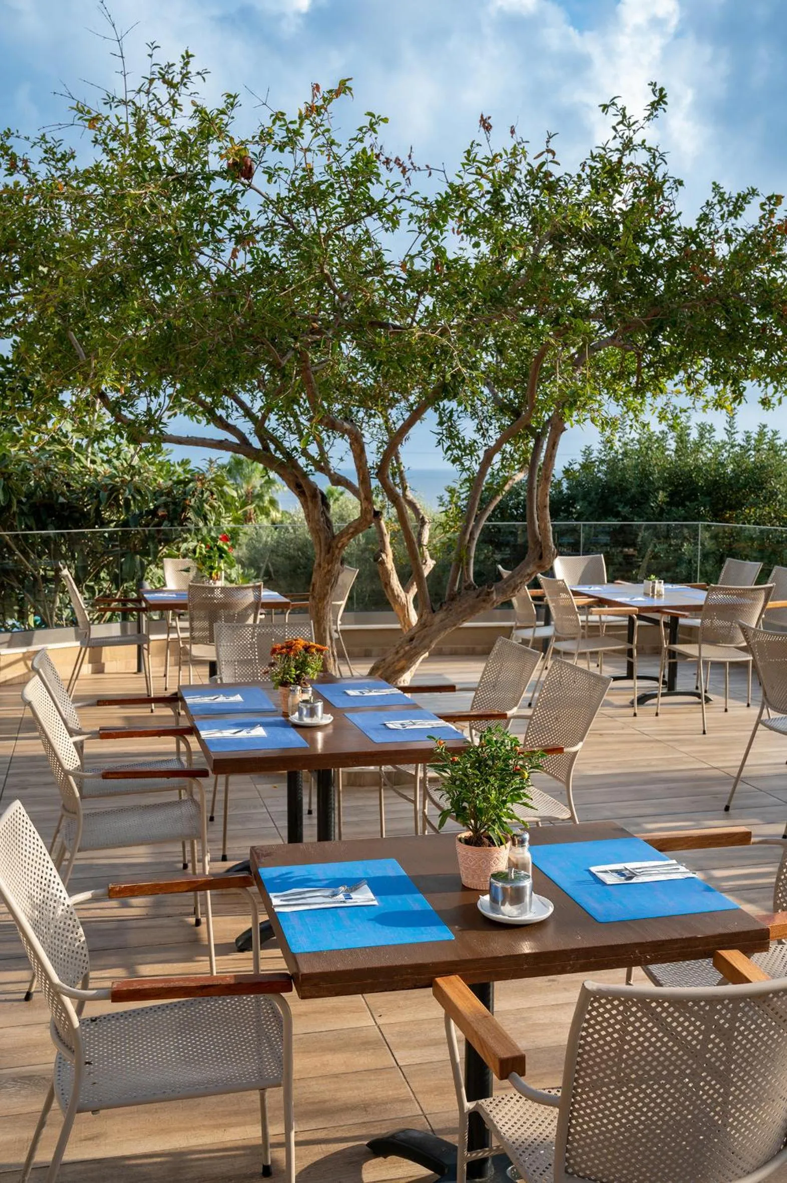 Restaurant/places to eat in Royal & Imperial Belvedere Resort