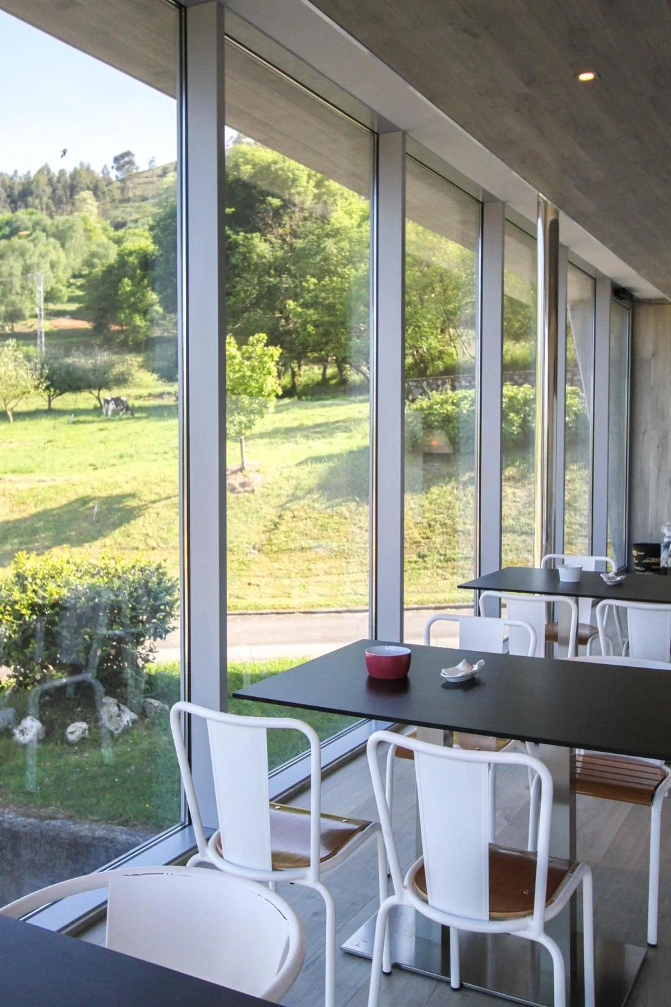 Lounge or bar in Hotel San Jorge