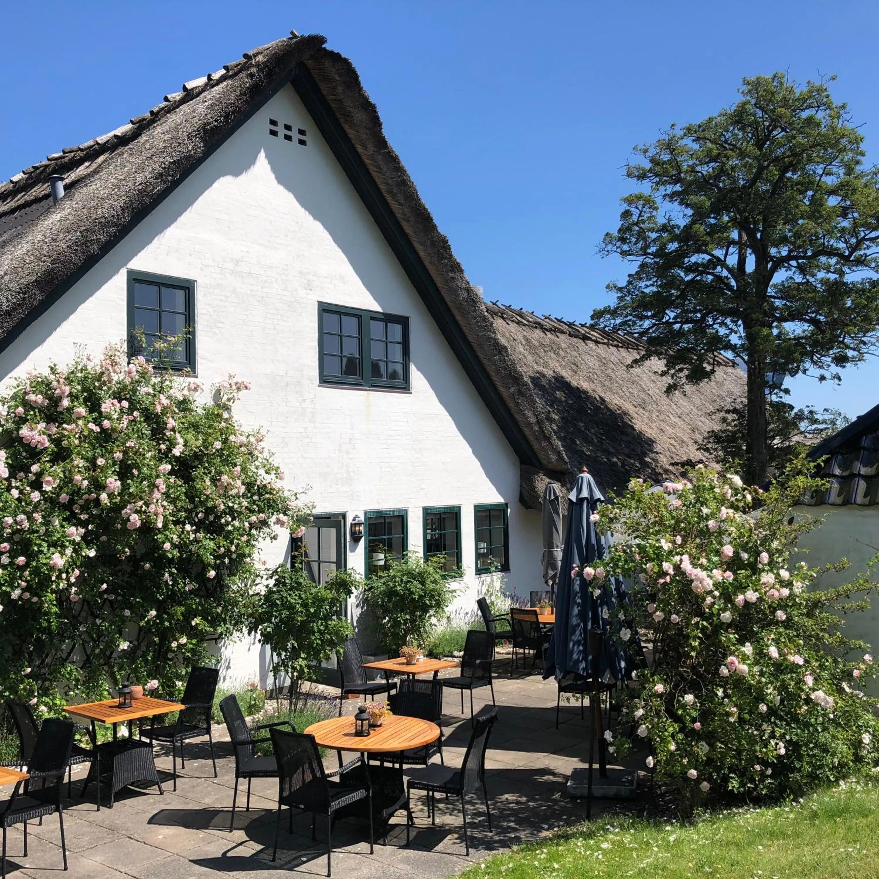 Off site in Munkebo Kro & Hotel