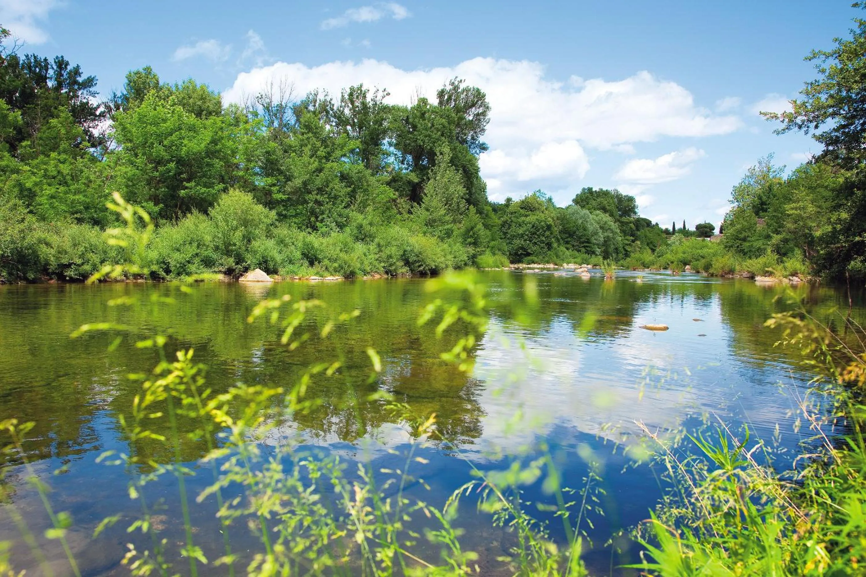 Area and facilities in Logis Hôtel Restaurant Les Cèdres