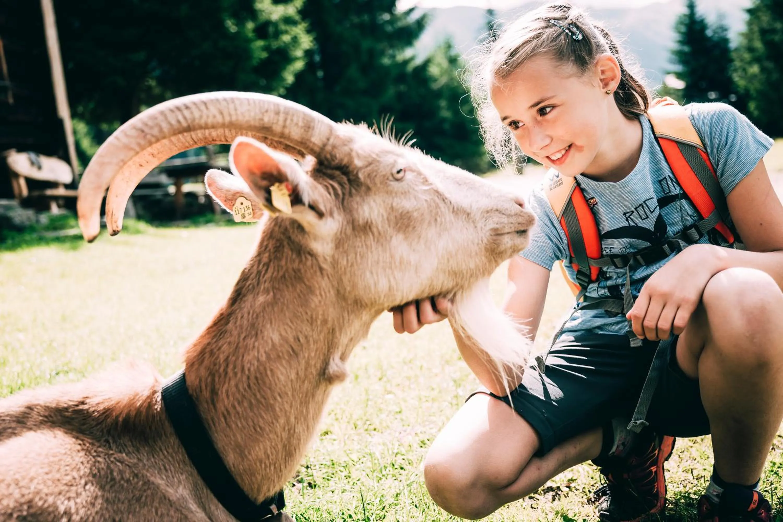Hiking in Kinderhotel Stegerhof