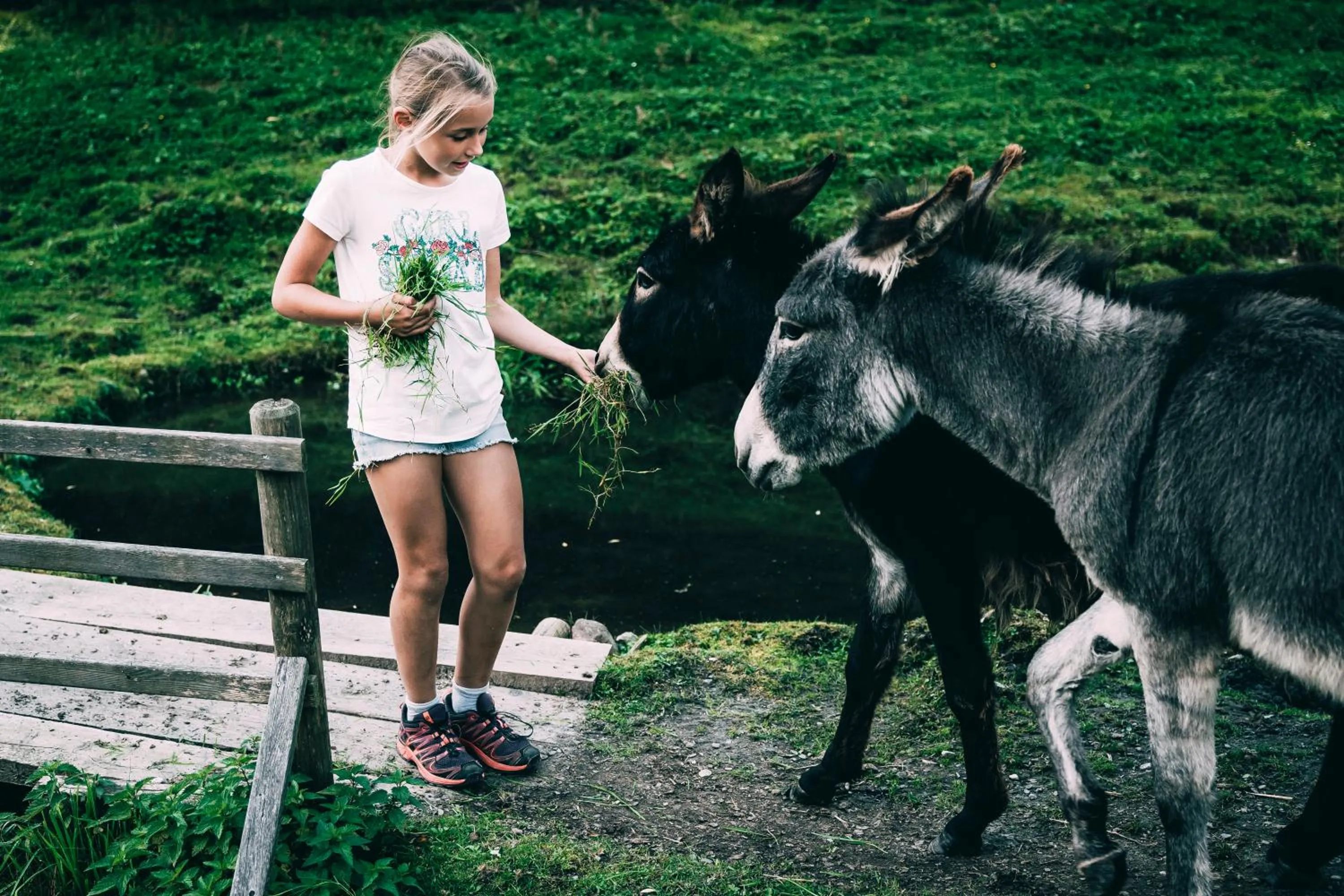 Animals in Kinderhotel Stegerhof
