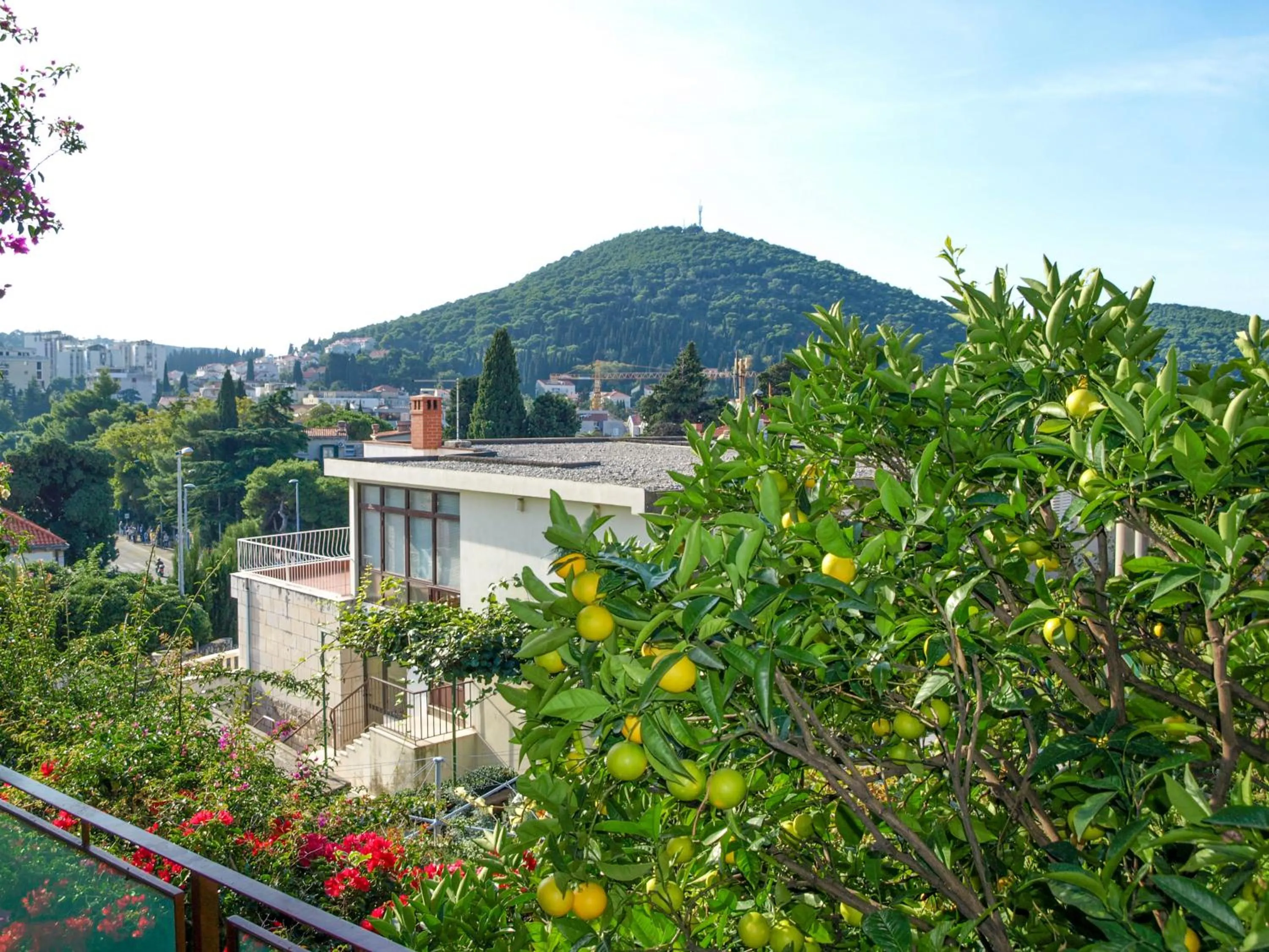 Balcony/Terrace in Rooms Carpe Diem