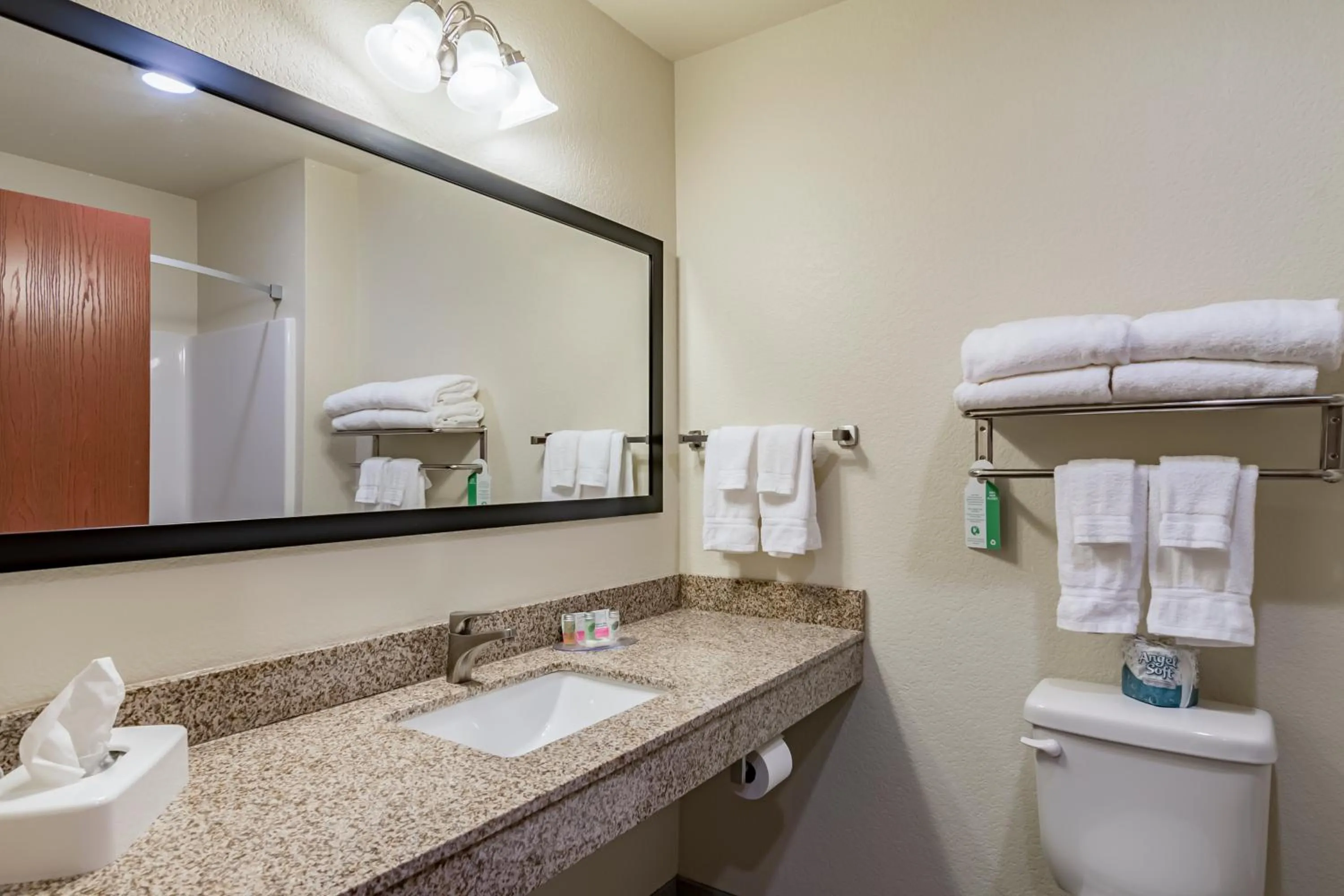 Toilet in Cobblestone Inn & Suites - Lamoni