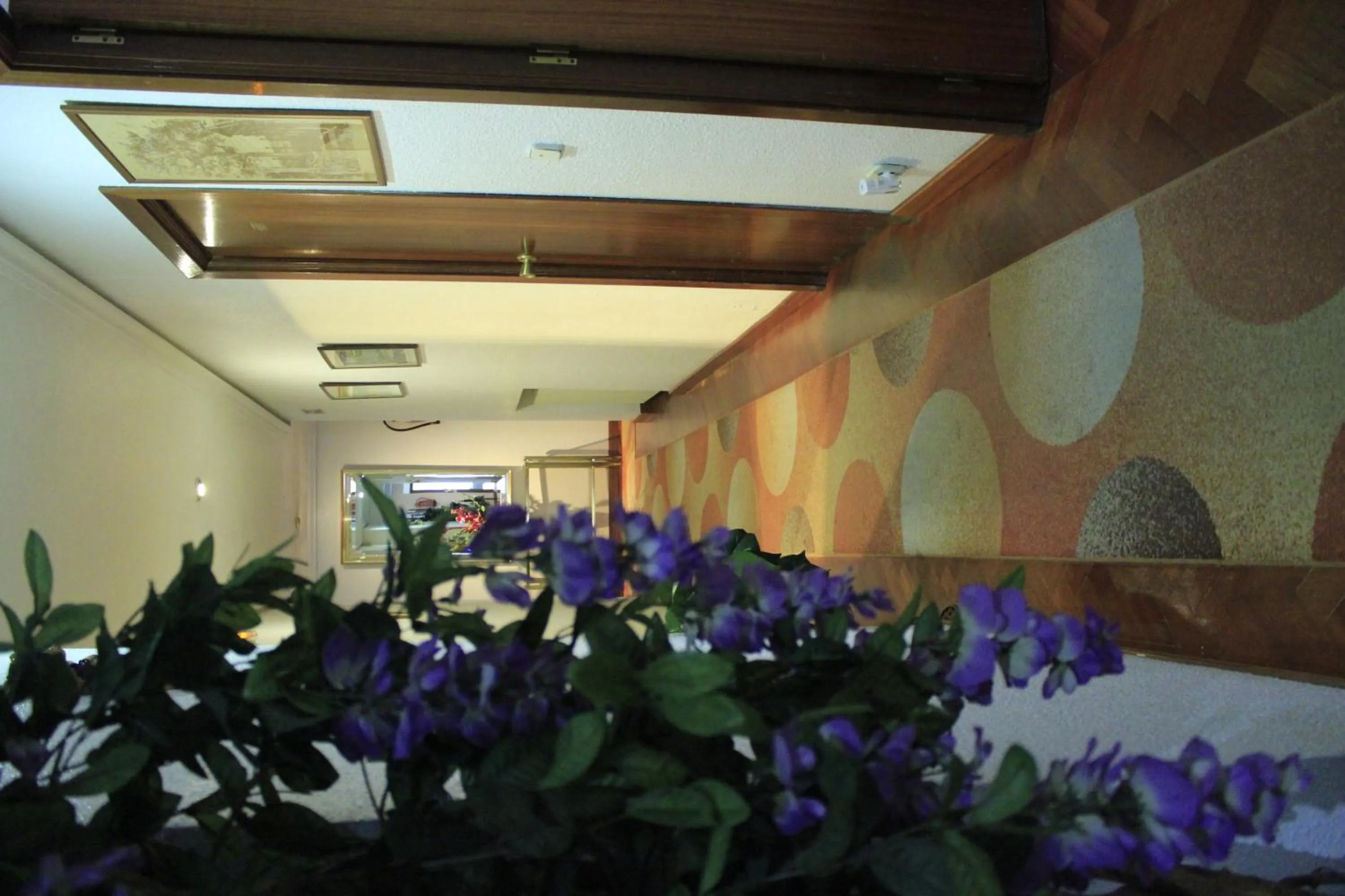 Other in Hostal Esmeralda