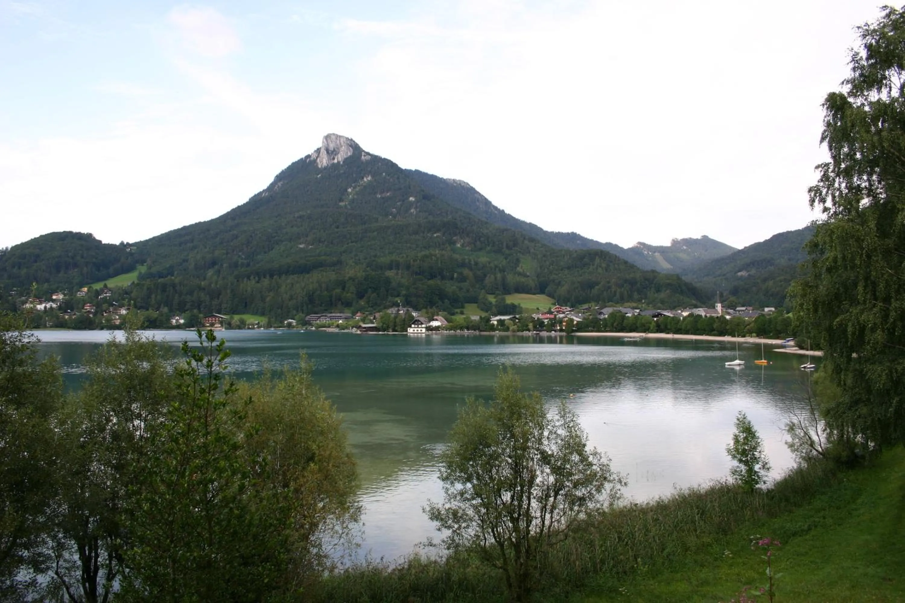 Area and facilities in Vogl's Nest