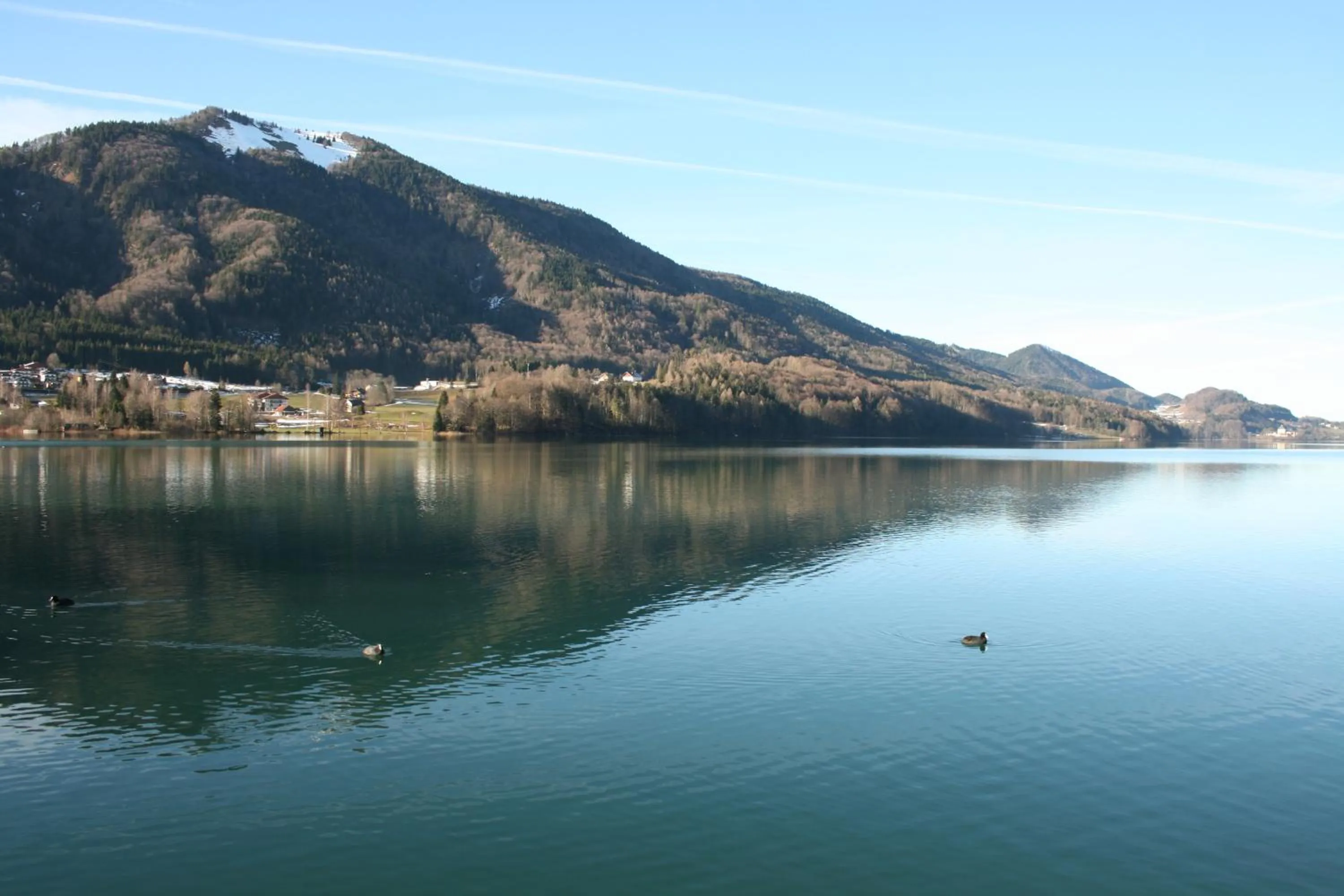 View (from property/room) in Vogl's Nest