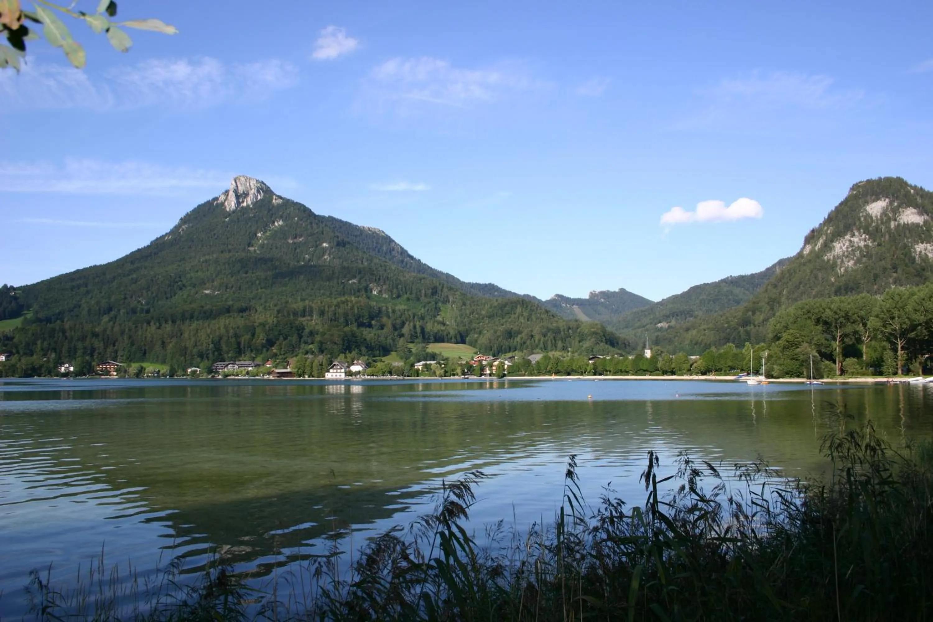 Area and facilities in Vogl's Nest