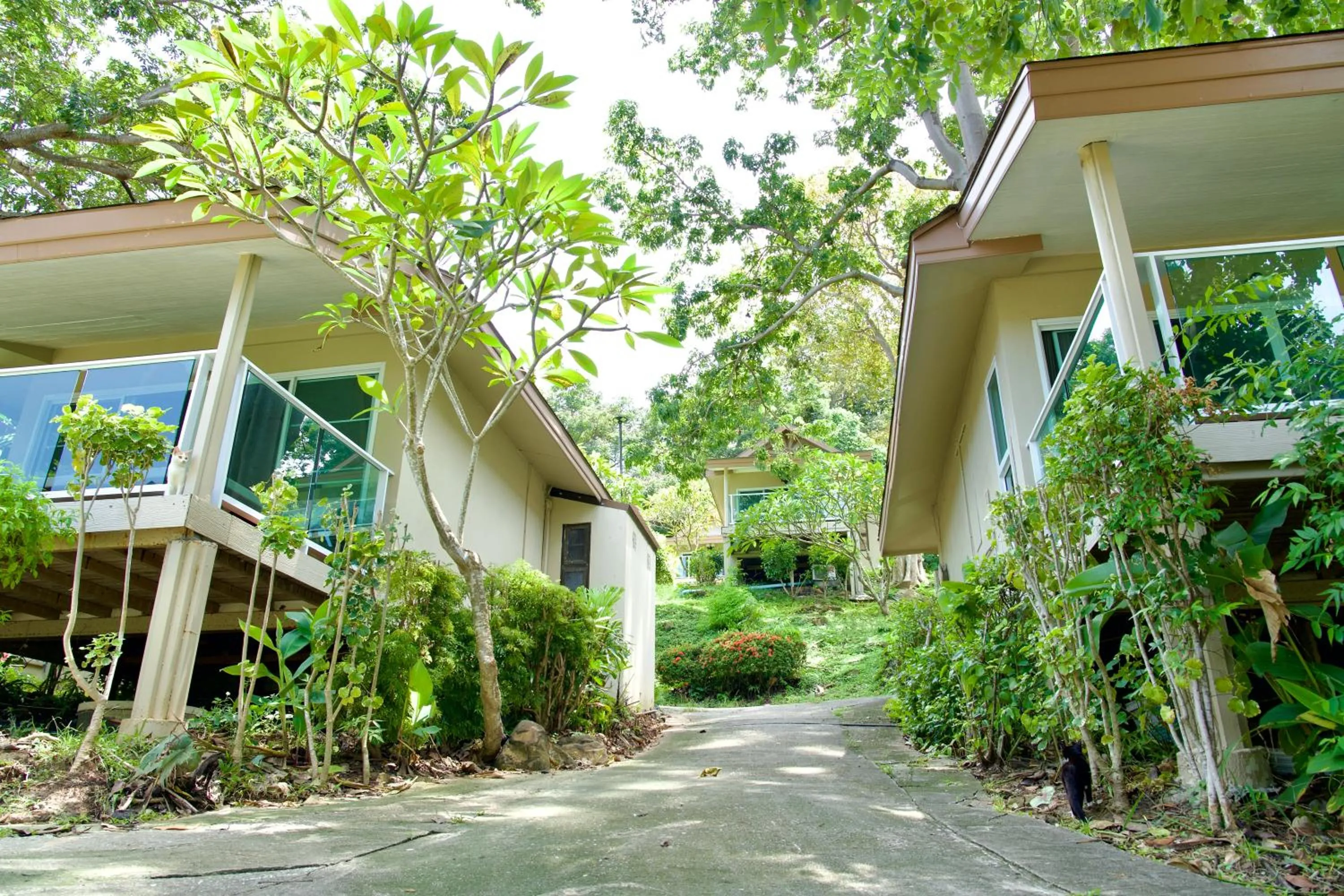Other in Bayview Resort Phi Phi Island - Beach Front Resort