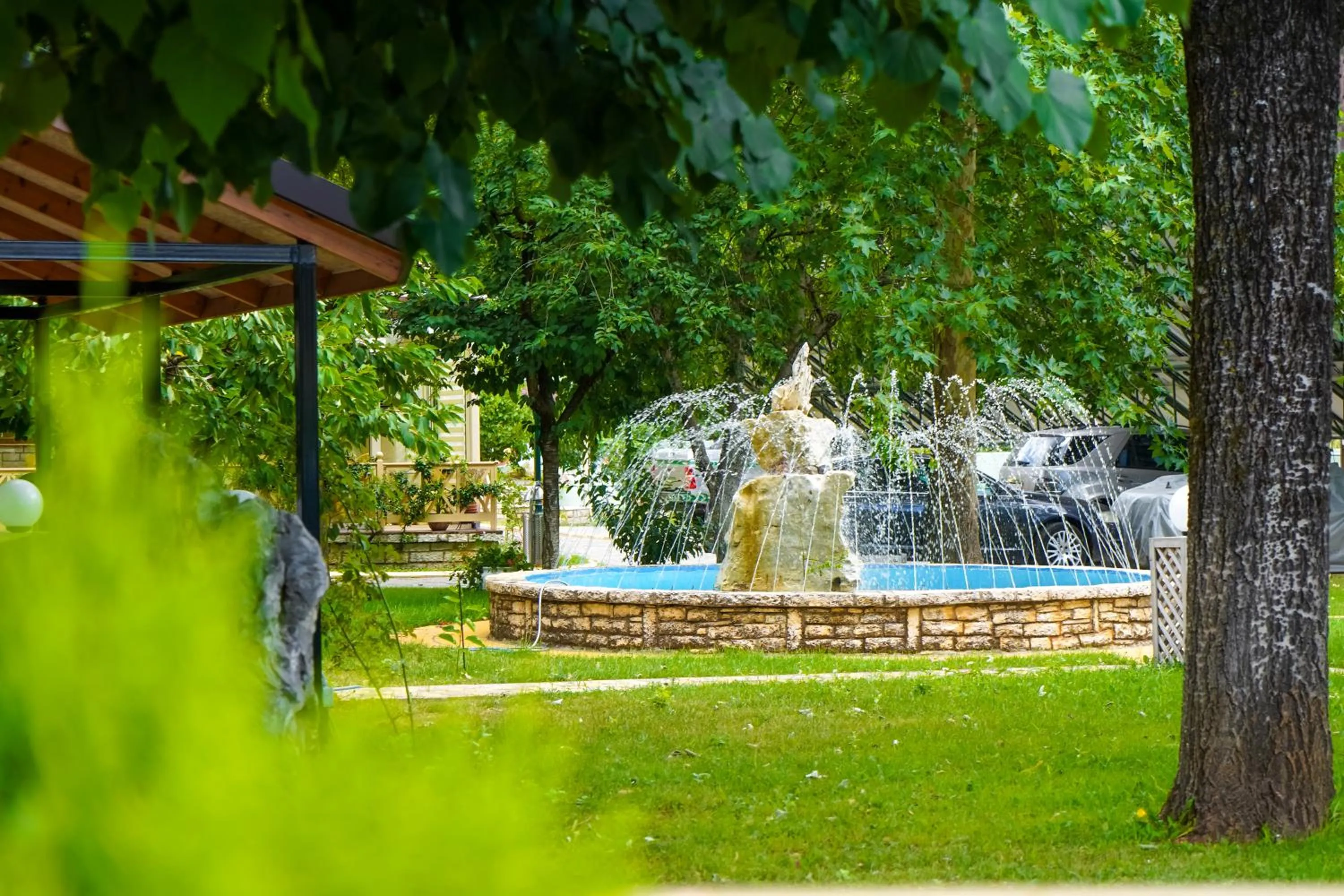Garden in Krikonis Hotel