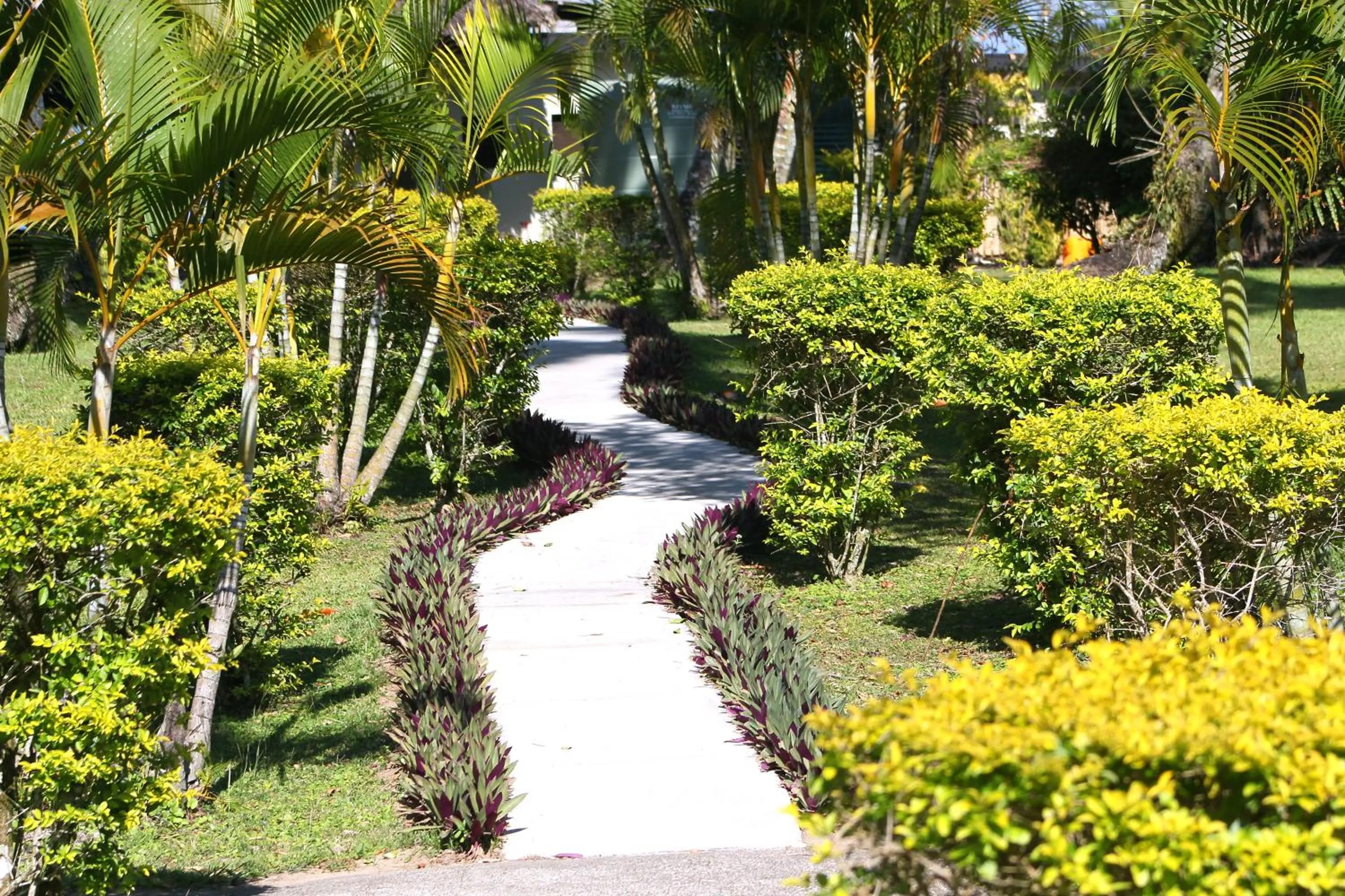 Garden in Mango Bay Resort