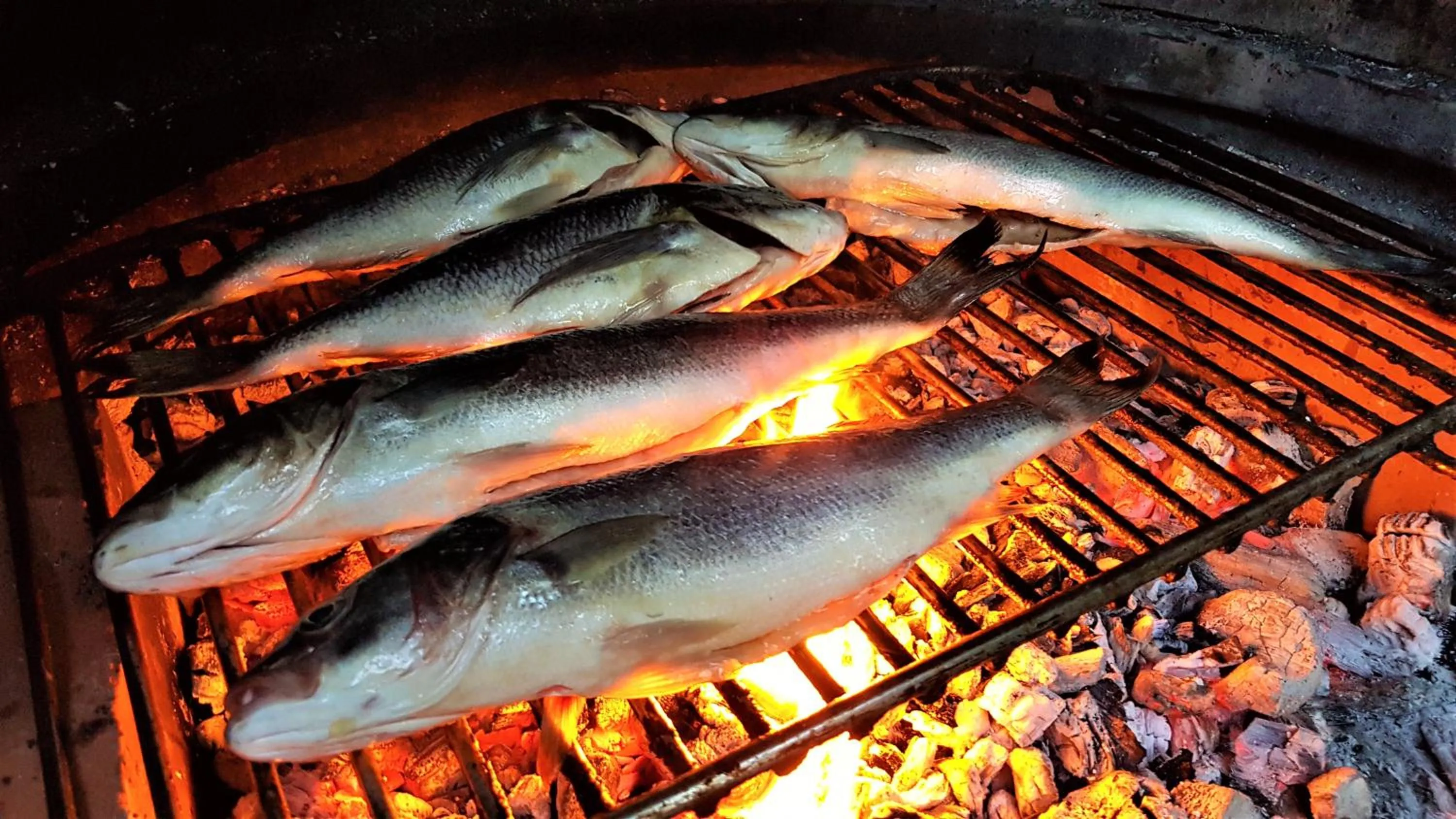 Food close-up in Lagom-VODICE