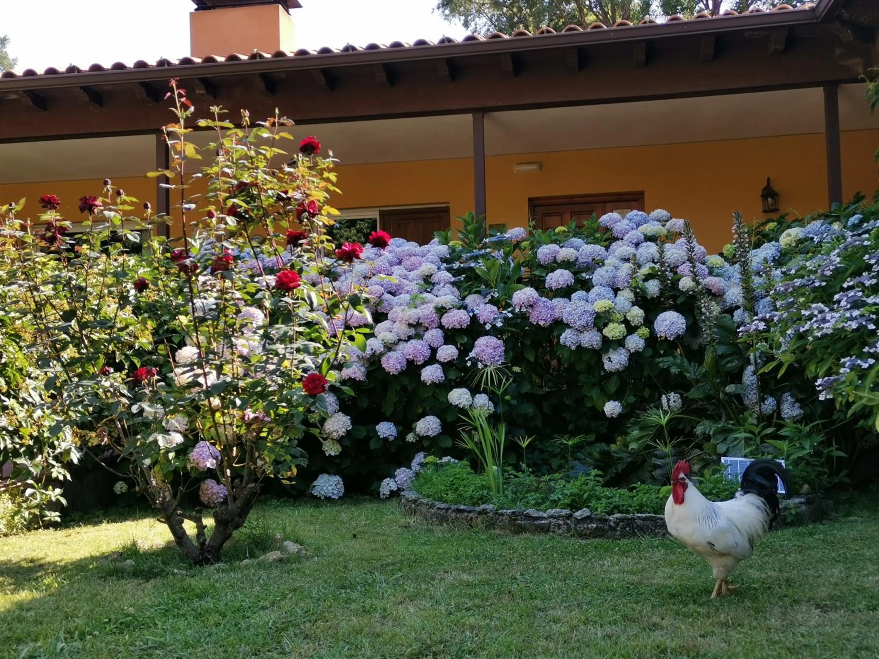 Patio in Hotel Rural El Retiro de San Pedro by RetiroRural