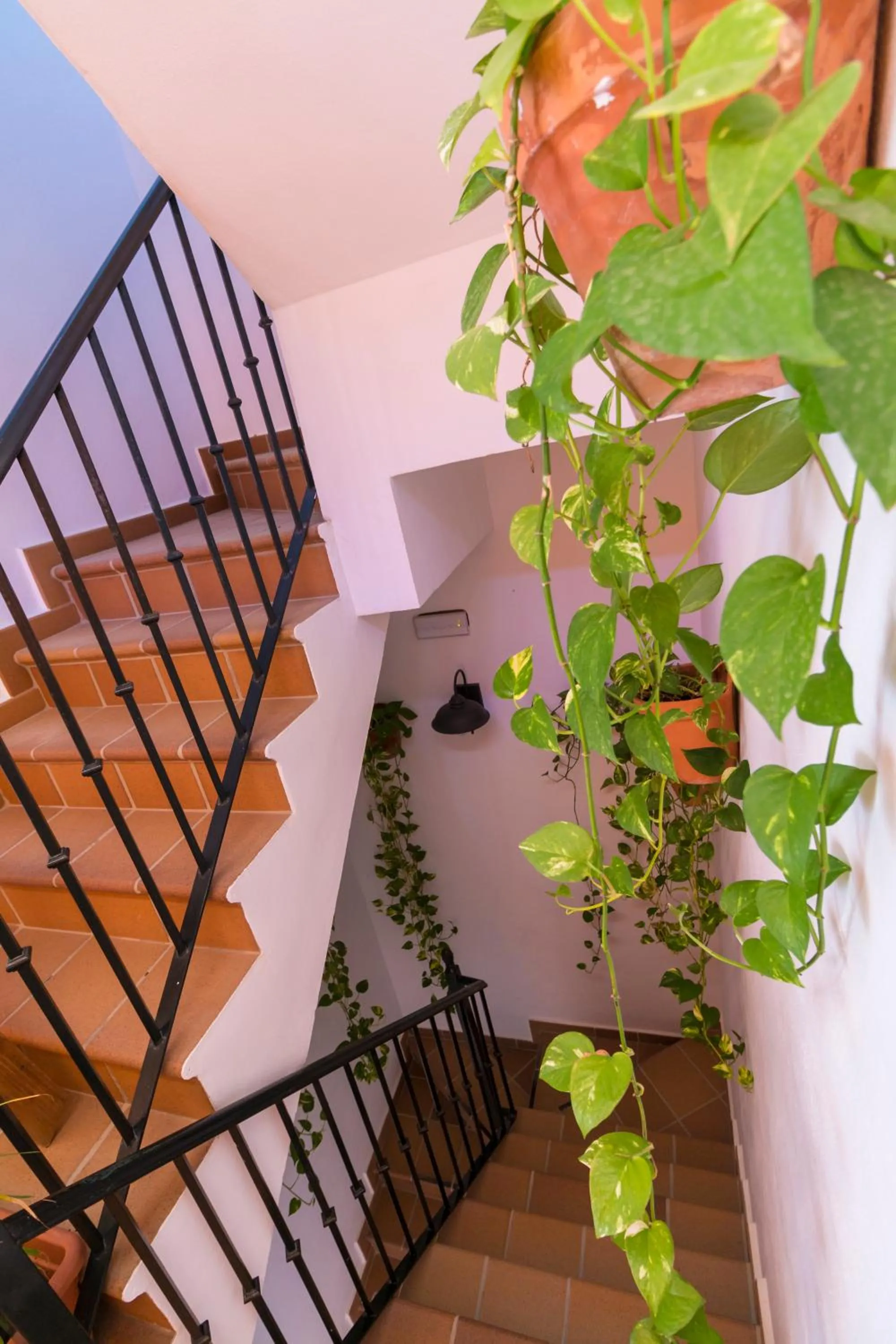 Hostal Rural La Fonda Del Rocio