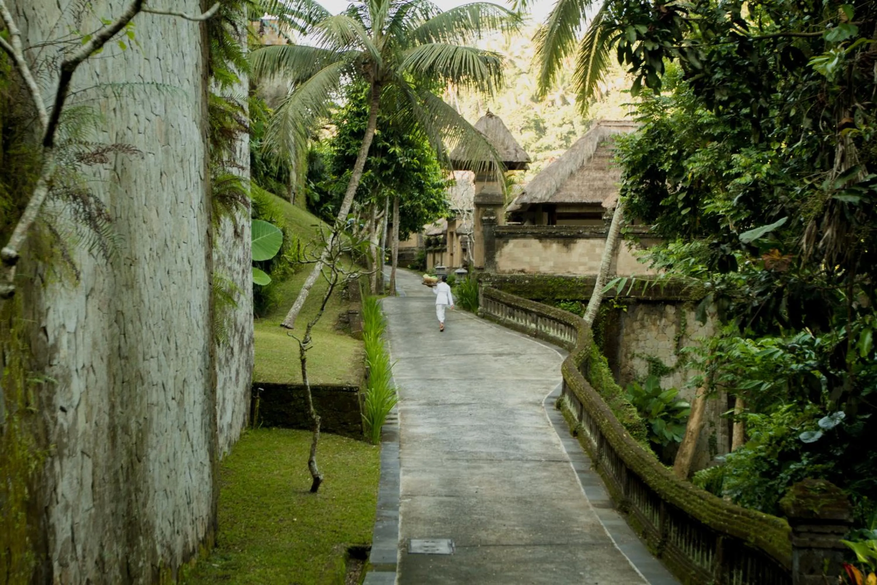Natural landscape in Puri Wulandari A Boutique Resort & Spa