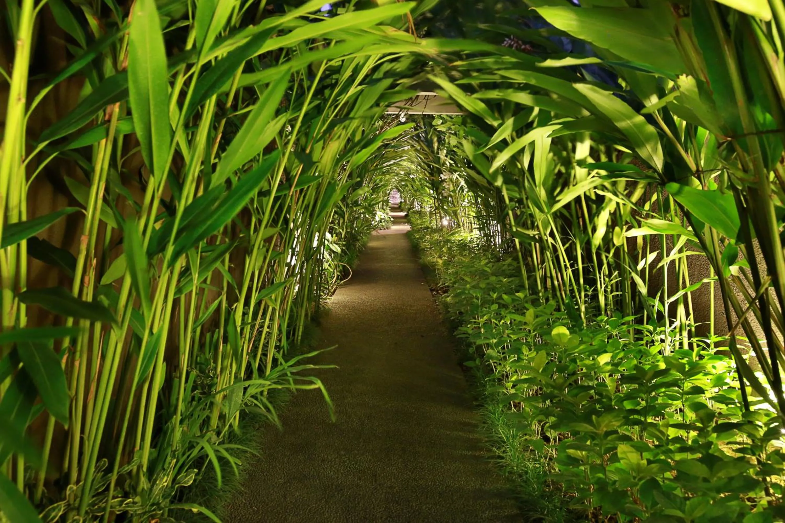 Garden in Ziva a Boutique Villa