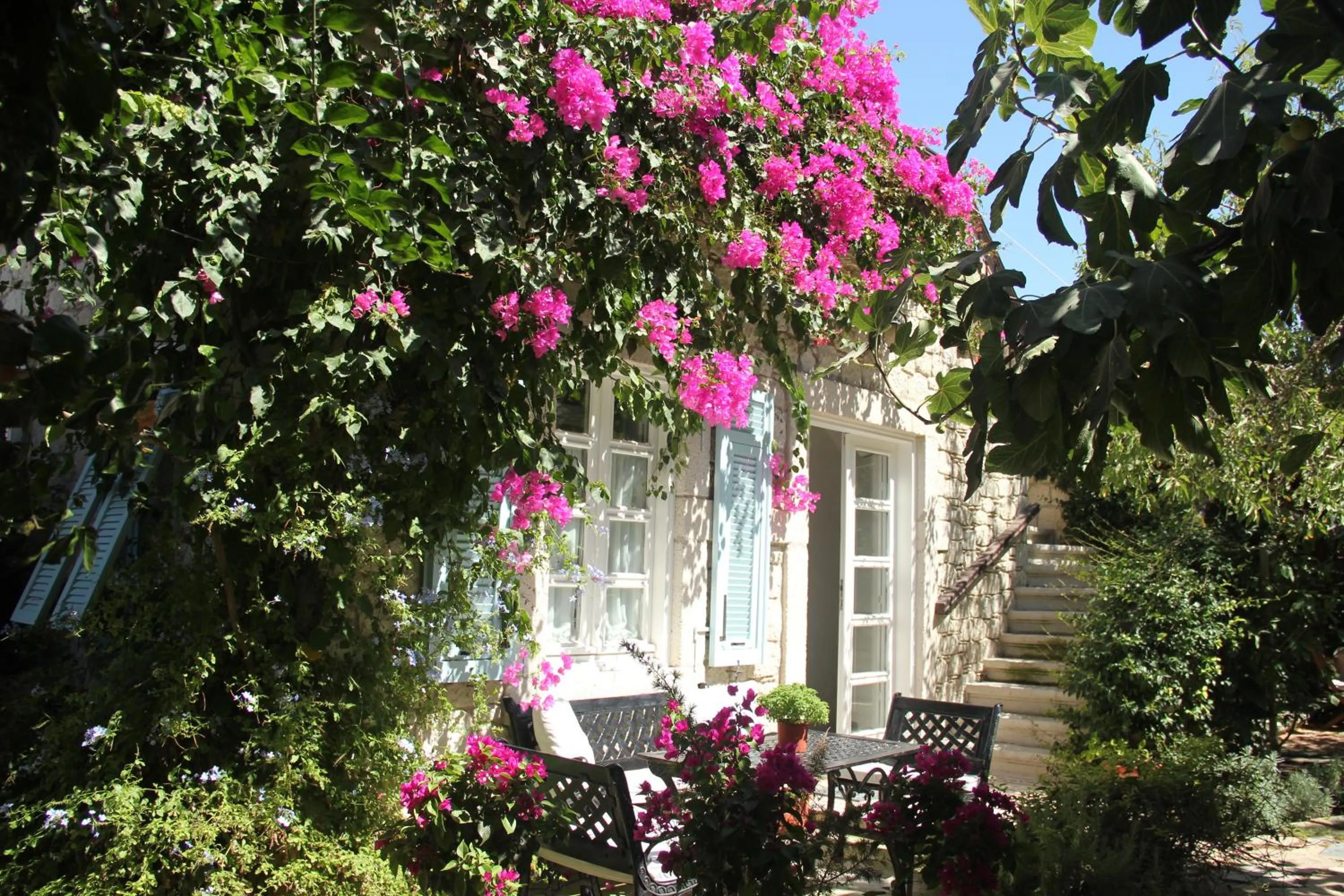 Facade/entrance in Incirliev - Special Category