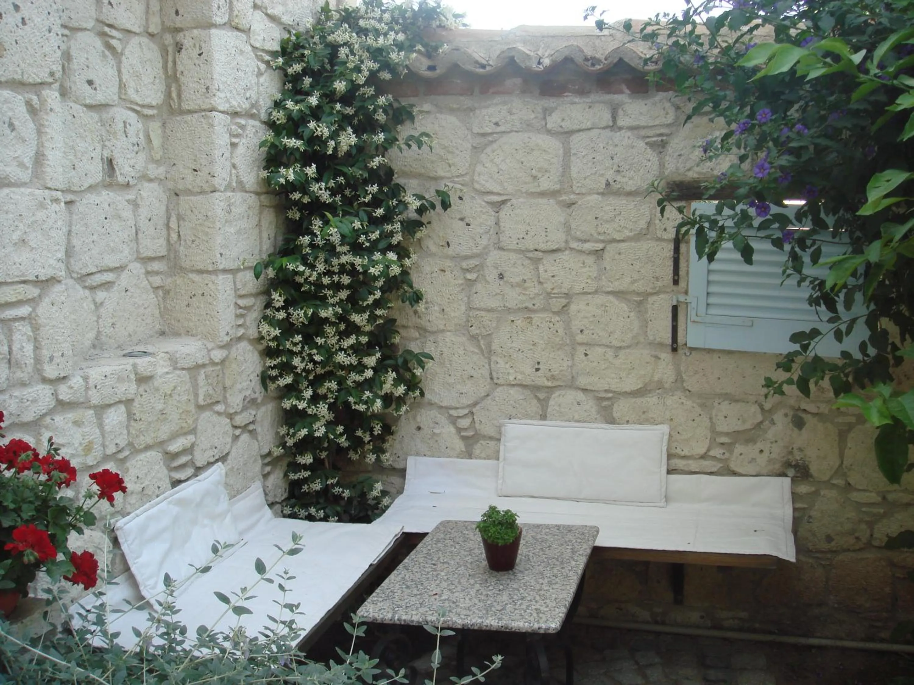 Garden in Incirliev - Special Category