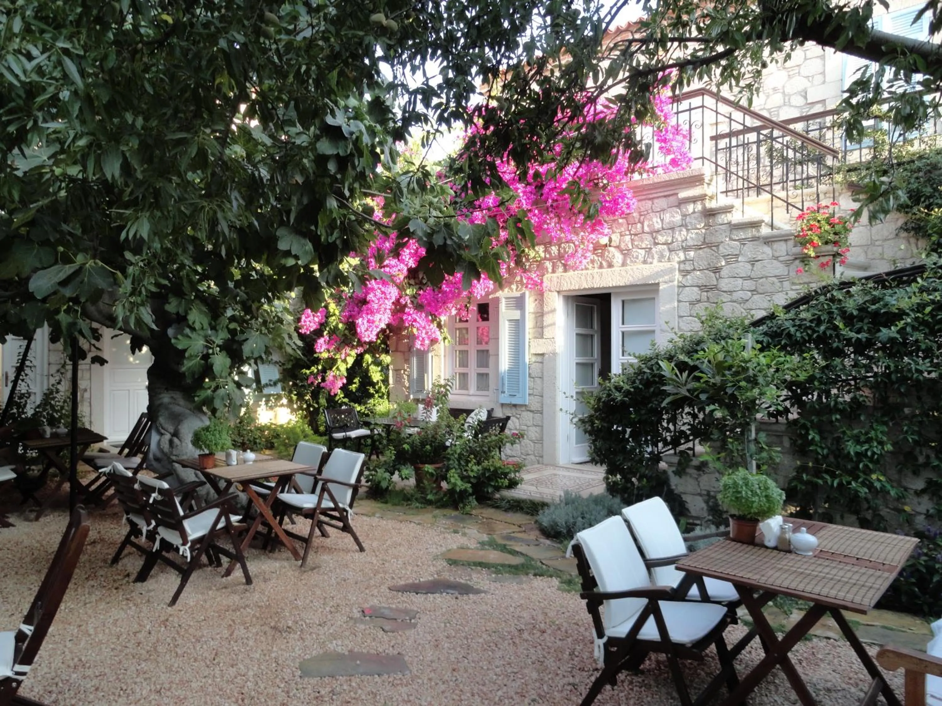 Garden in Incirliev - Special Category