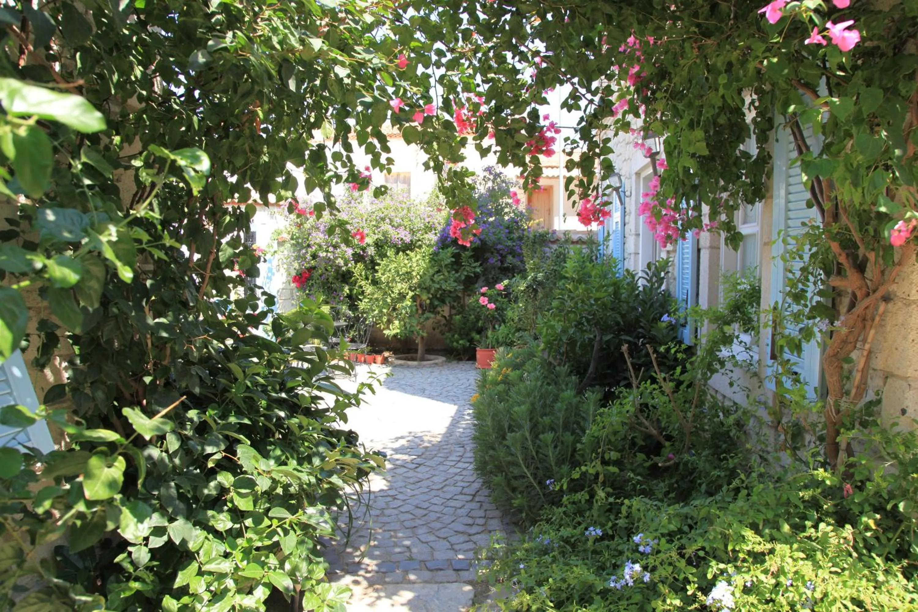 On site in Incirliev - Special Category