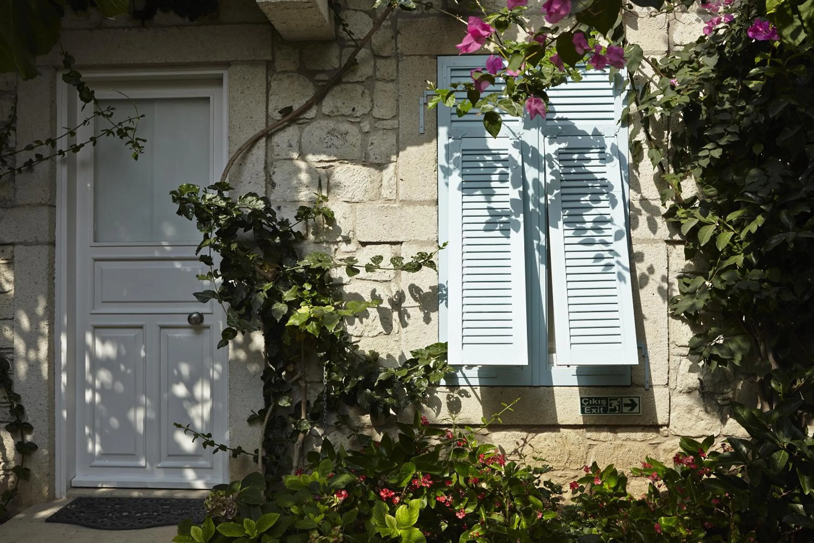 Garden in Incirliev - Special Category