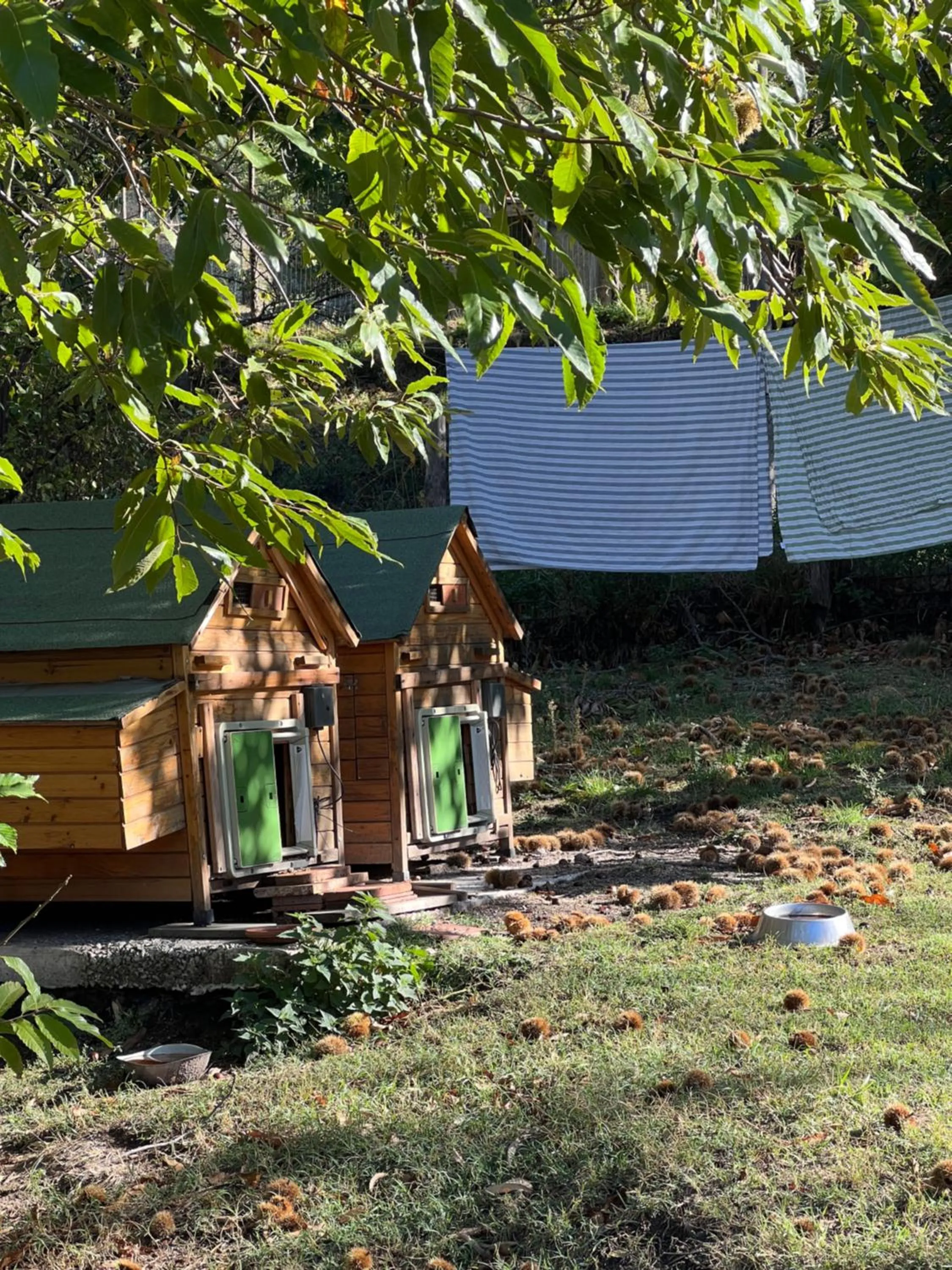 Natural landscape in B&B Podere Legnotorto