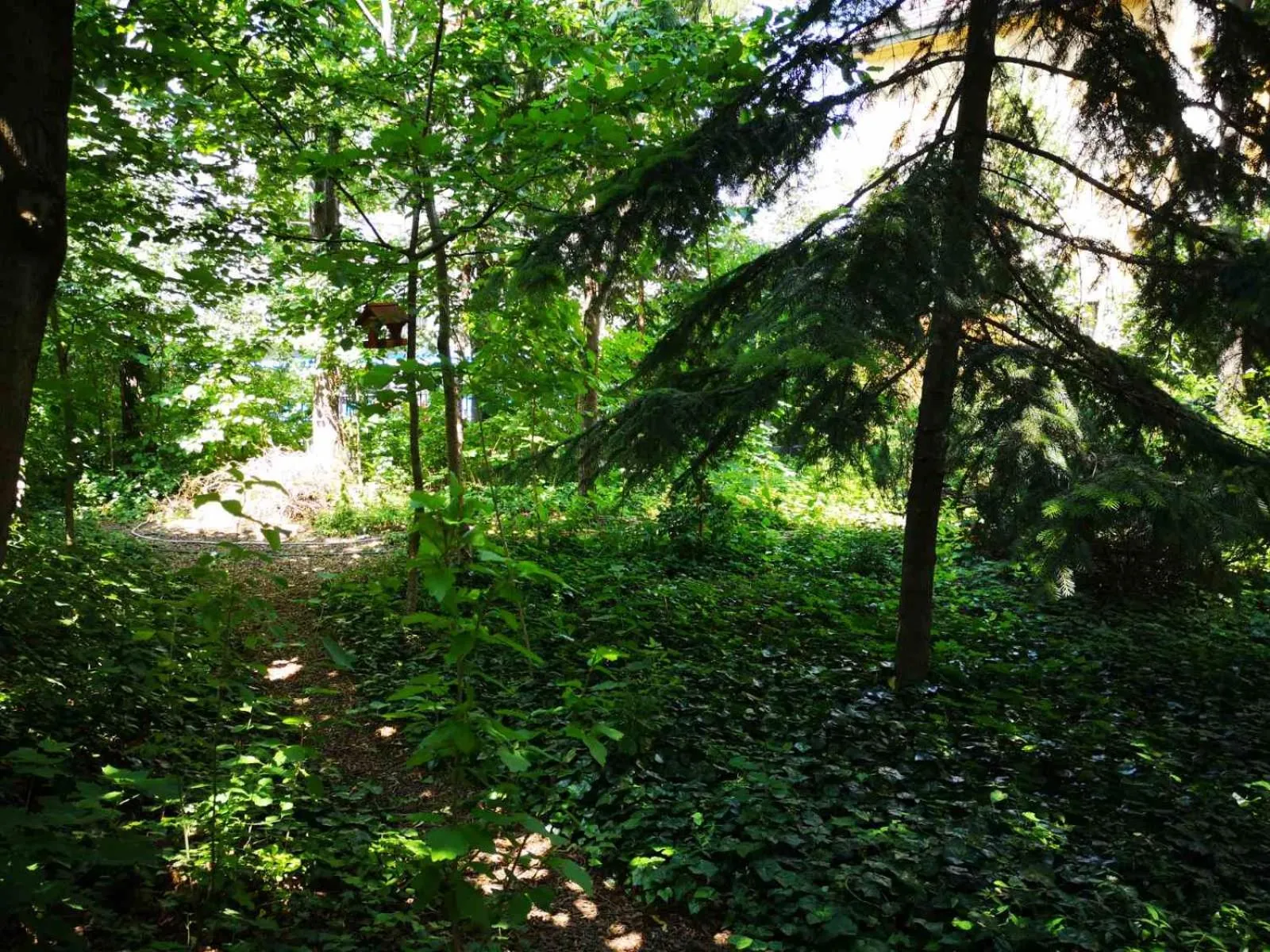 Garden in Gold Apartments