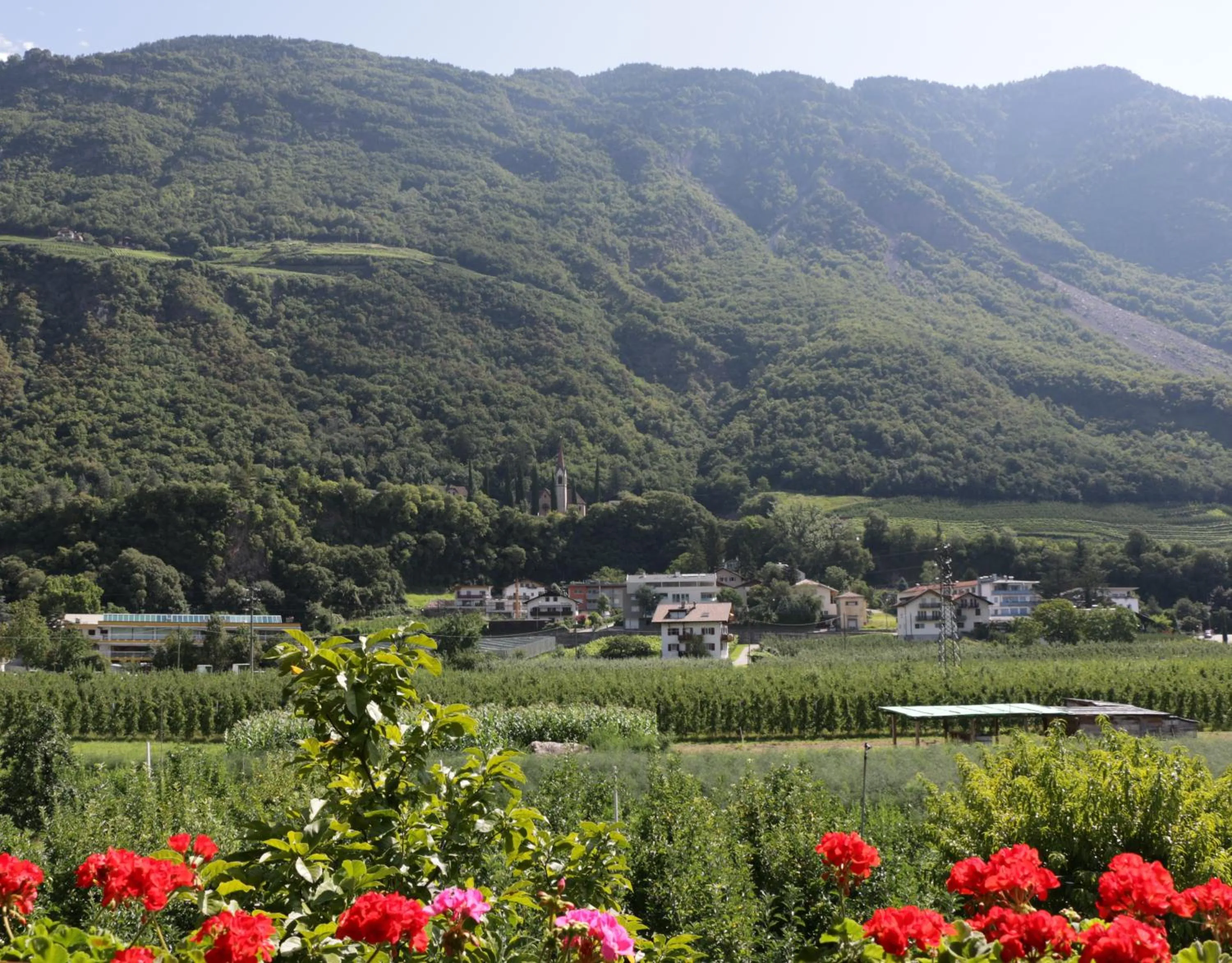 Balcony/Terrace in Gruberhof