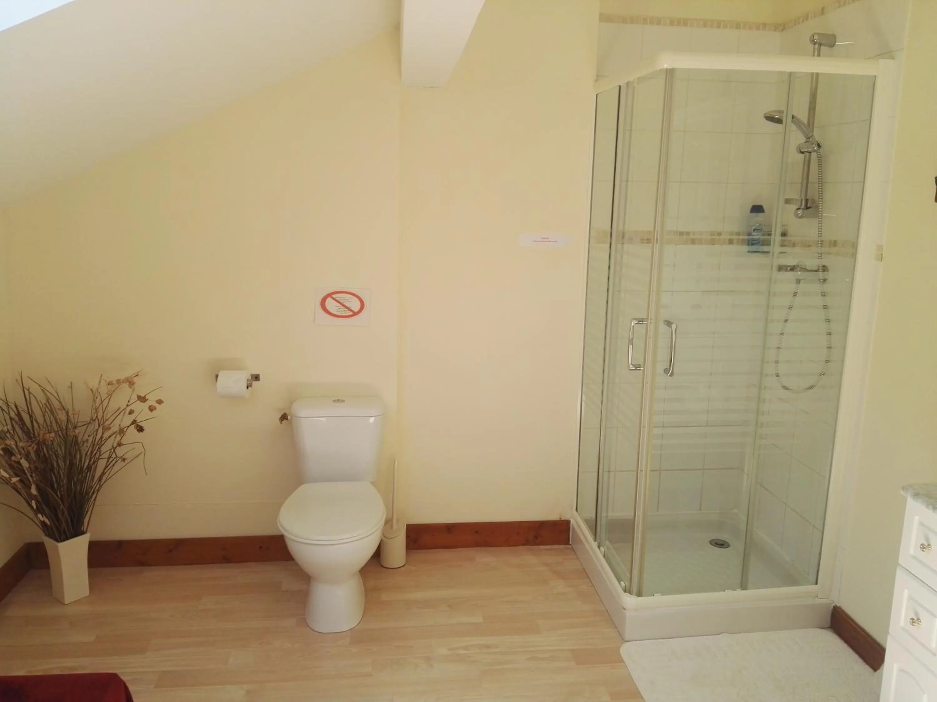 Shower in Le Chene Vert