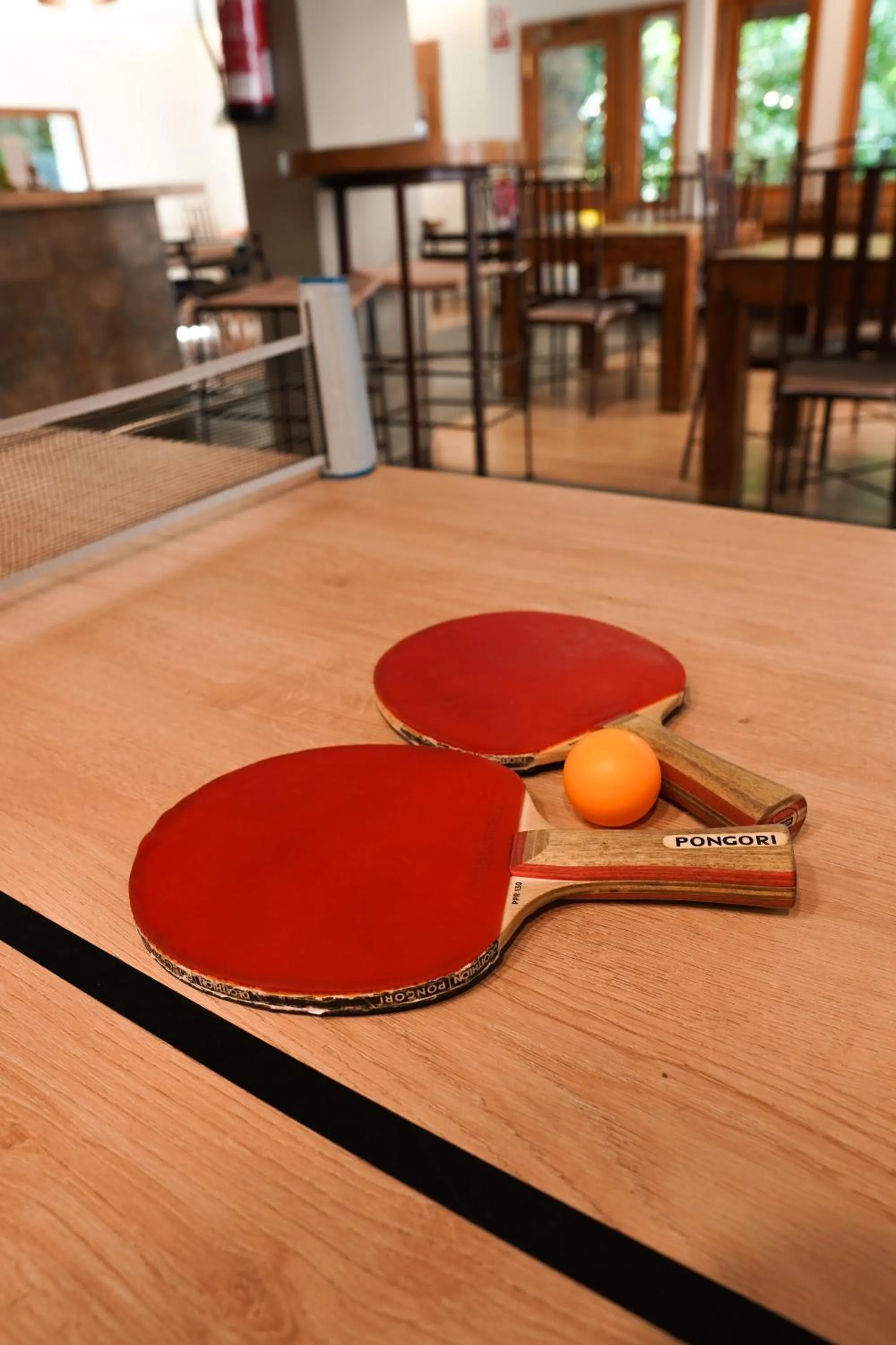Table tennis in Hotel Els Encantats