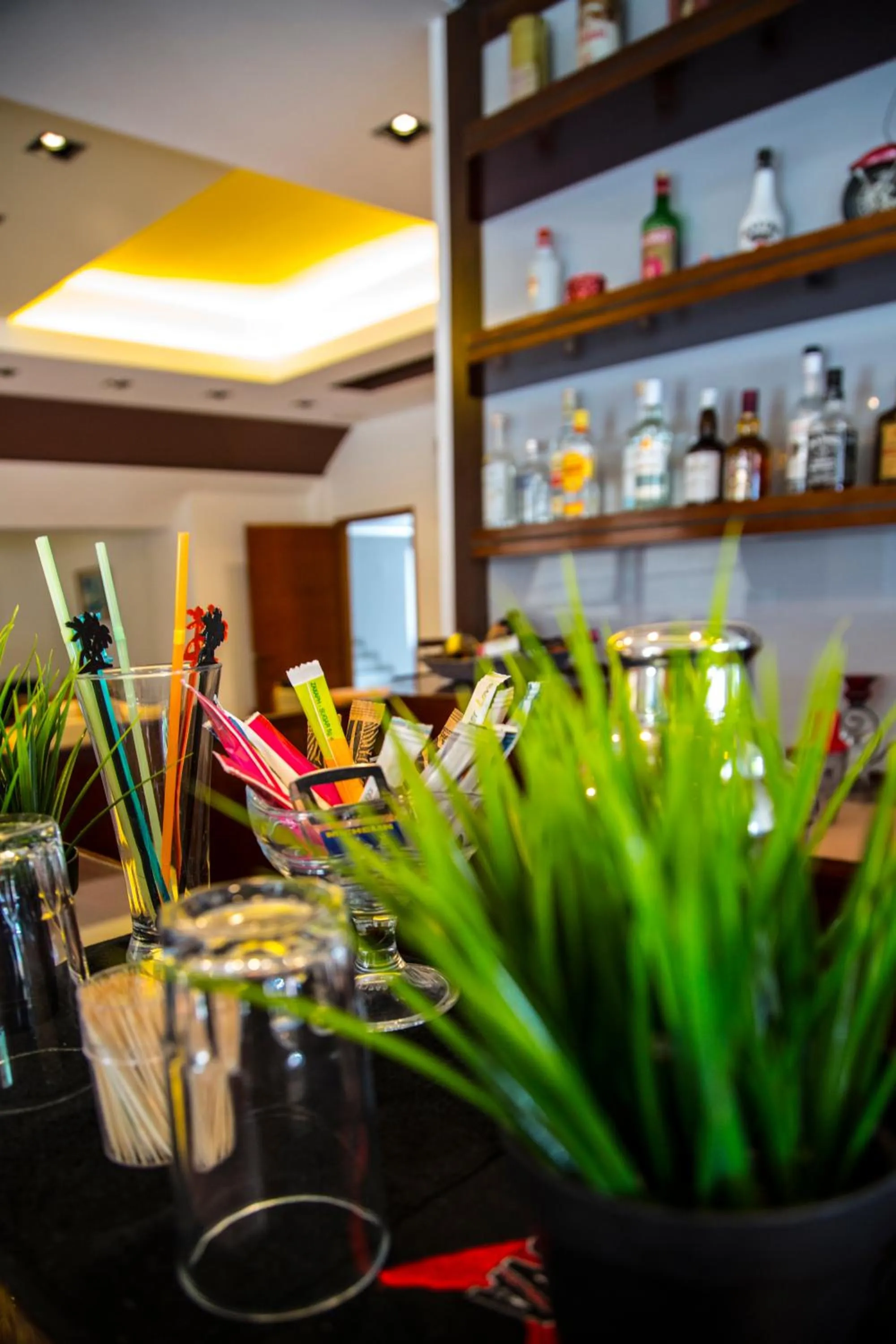 Lounge or bar in Violetta