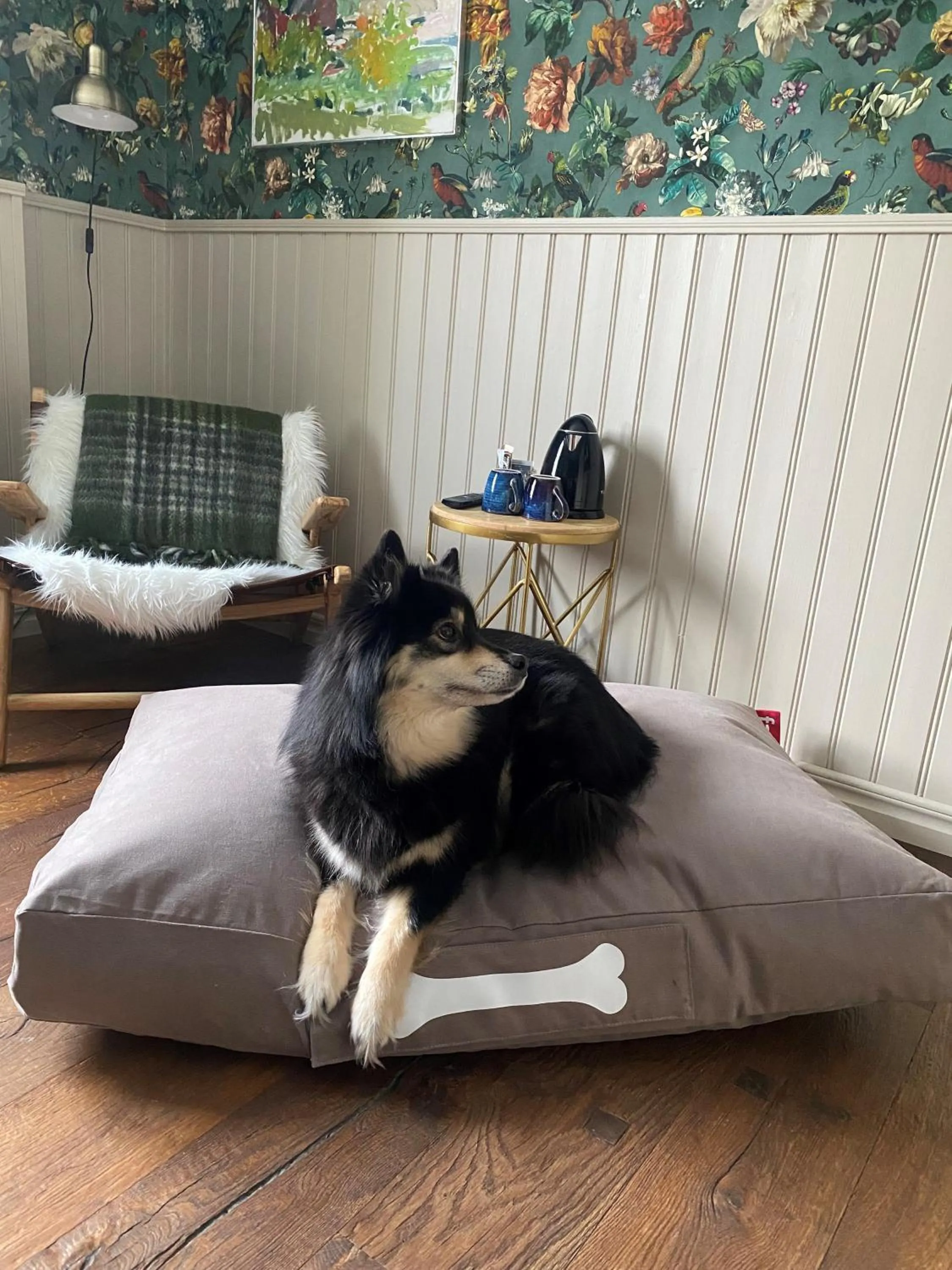 Pets in Brösarps Gästgifveri & SPA