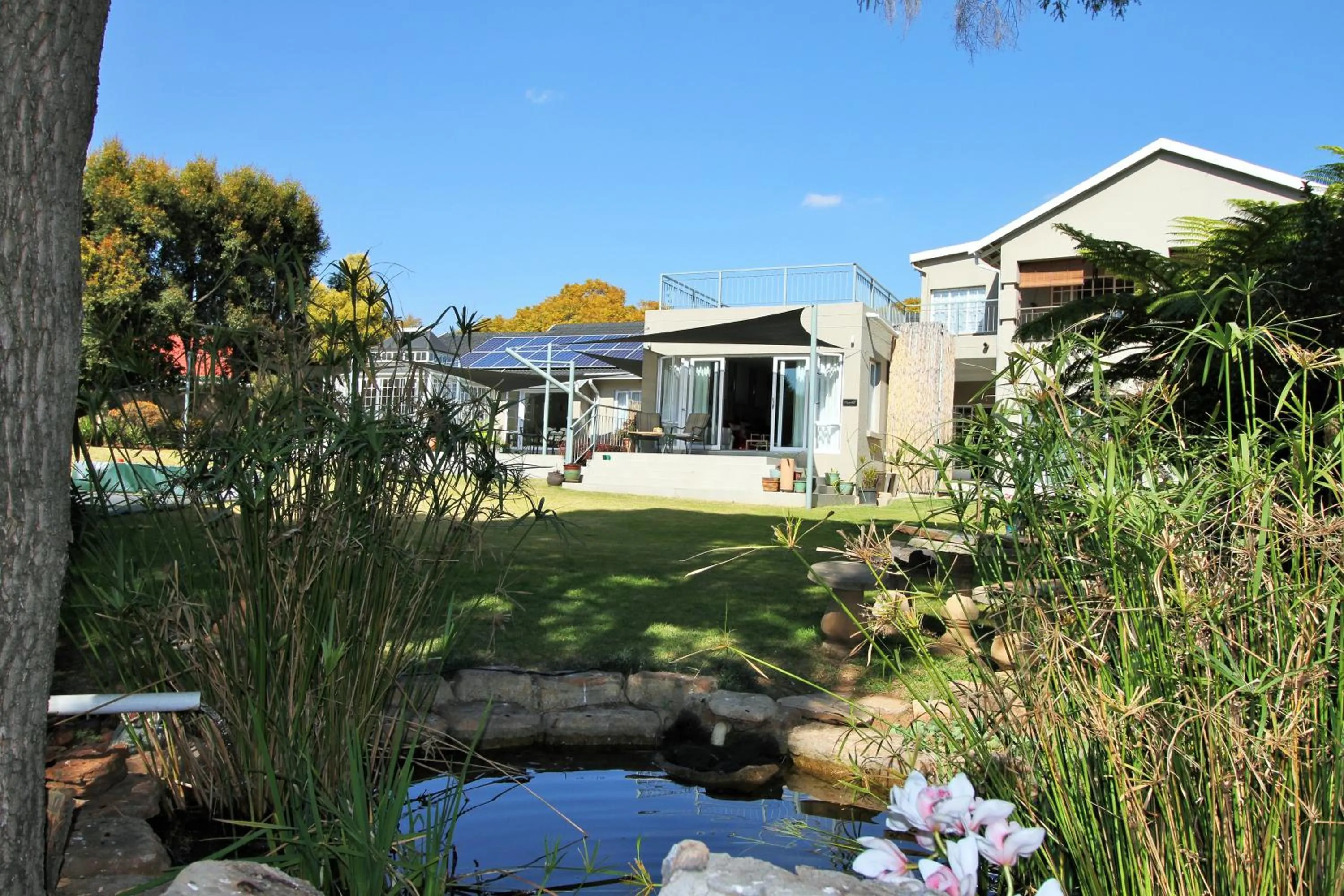 Garden in 49-on-Cherry