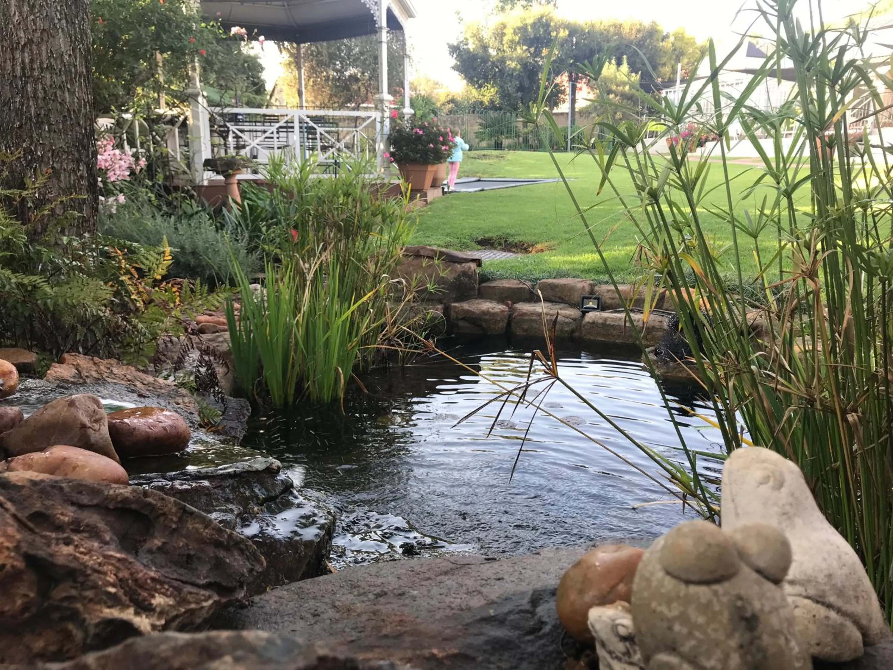 Garden in 49-on-Cherry