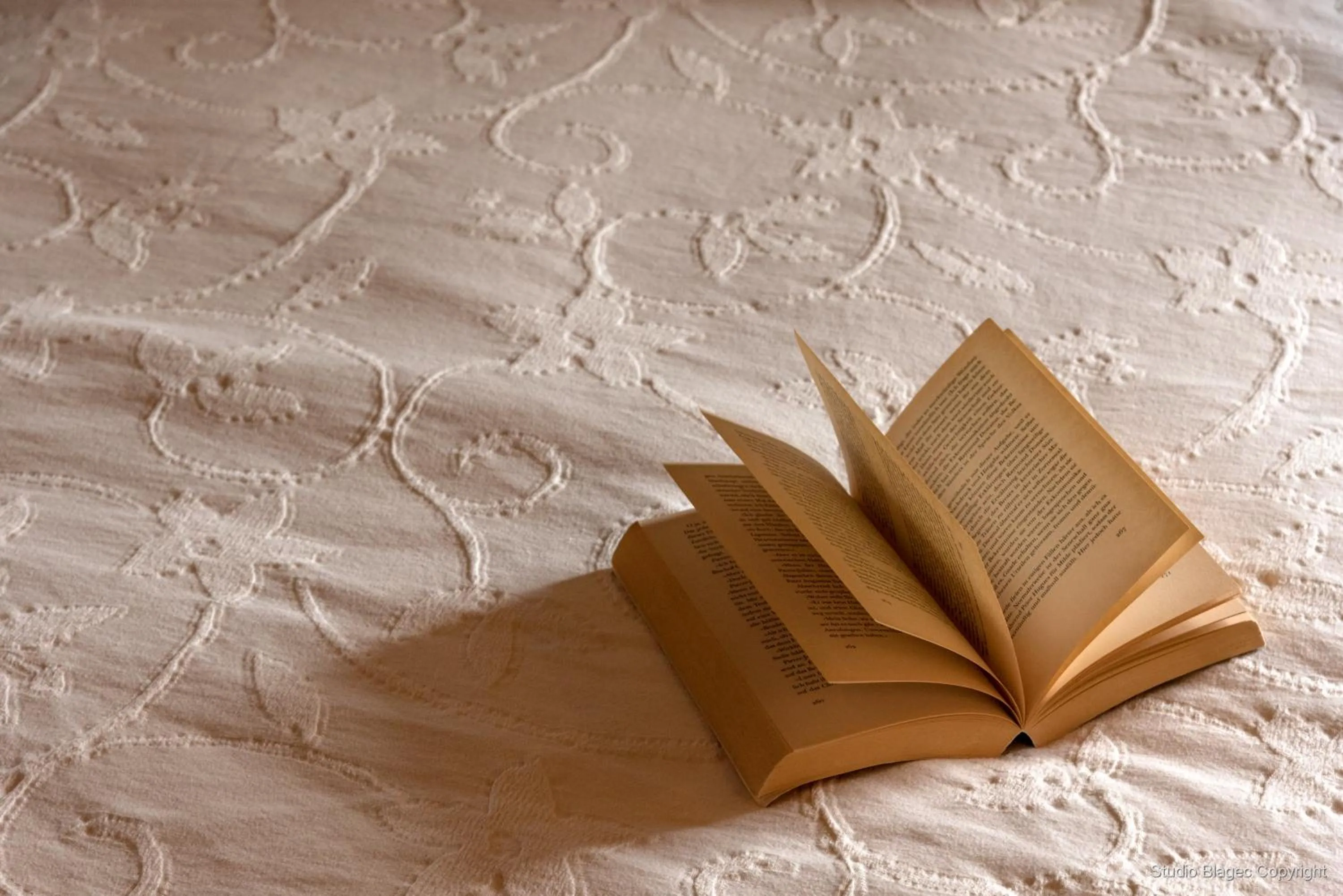 Decorative detail in Heritage Hotel Martinis Marchi