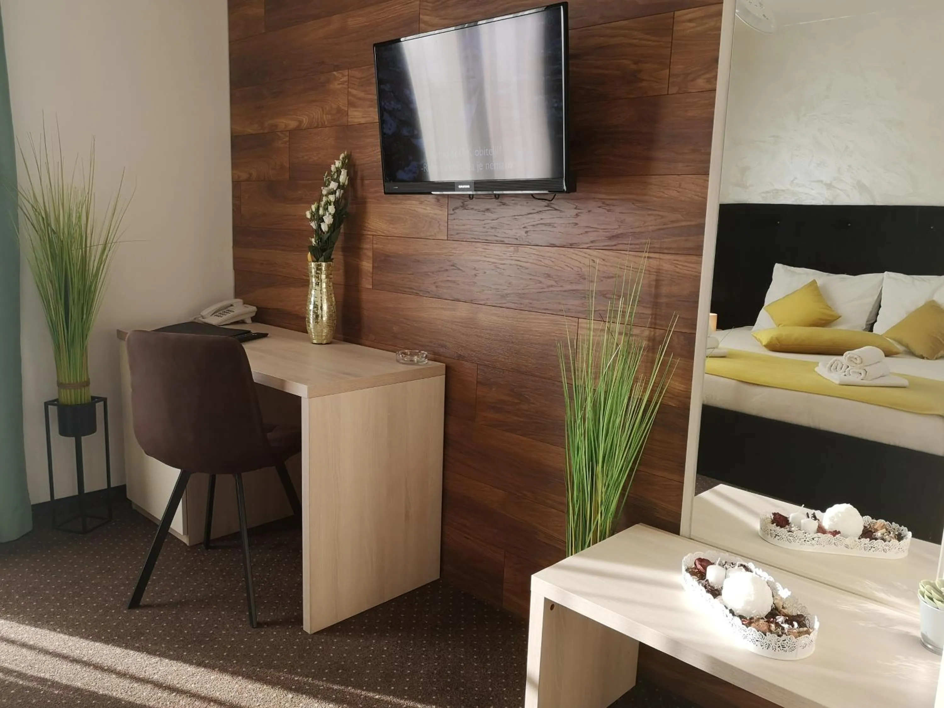 TV and multimedia in Hotel Bor