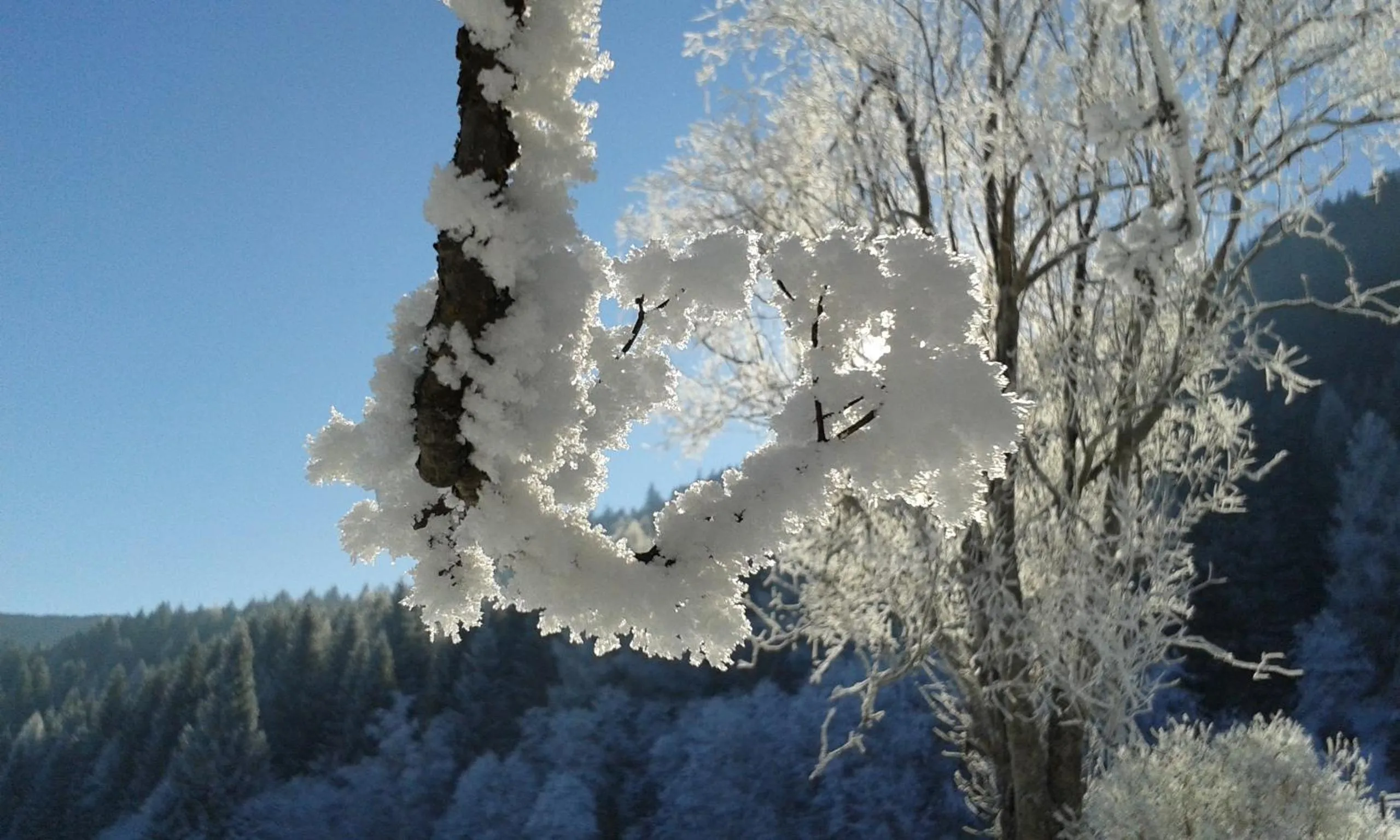 Ferienparadies Wiesenbauer
