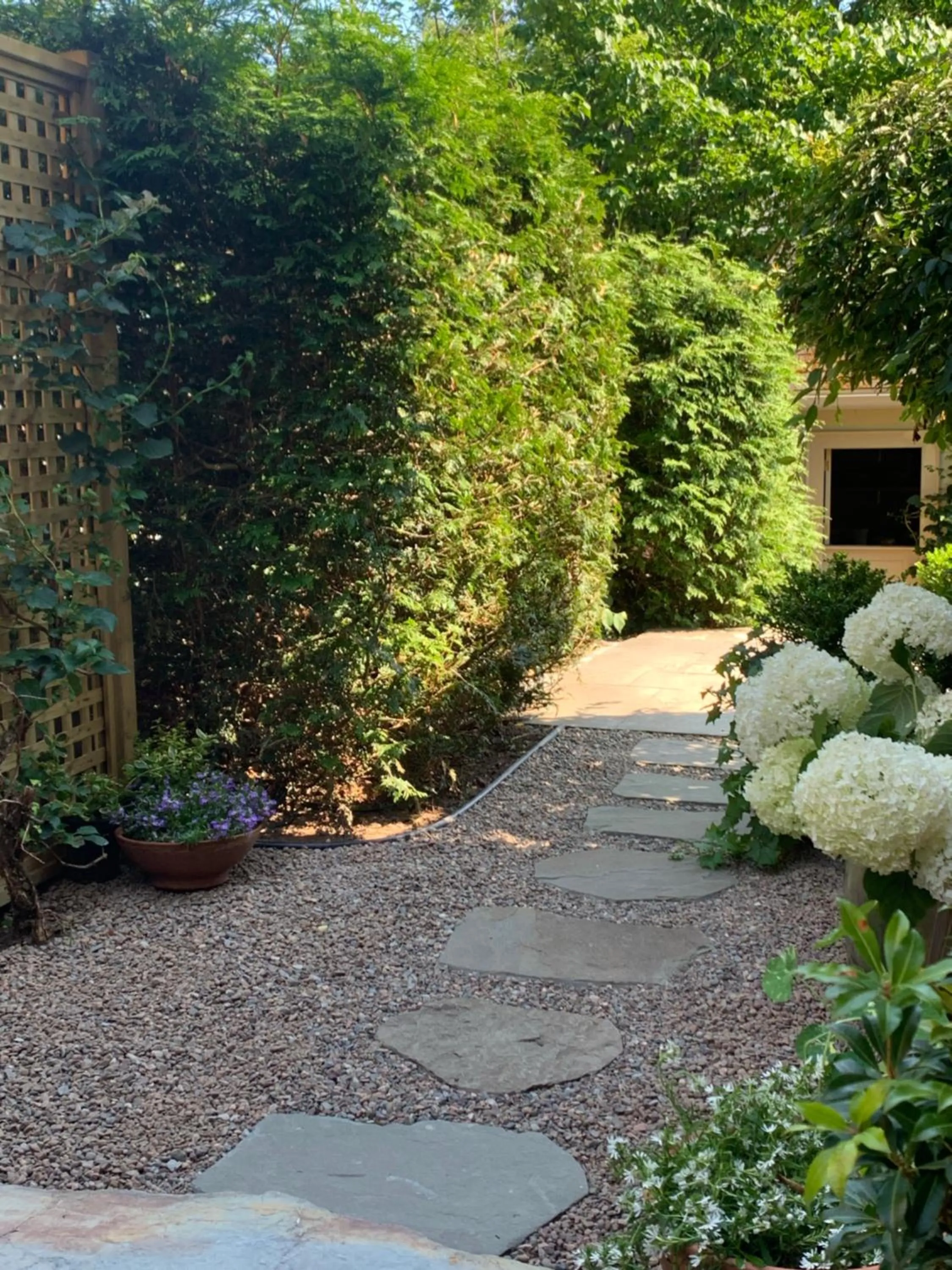 Garden in The Pebble Bed and Breakfast