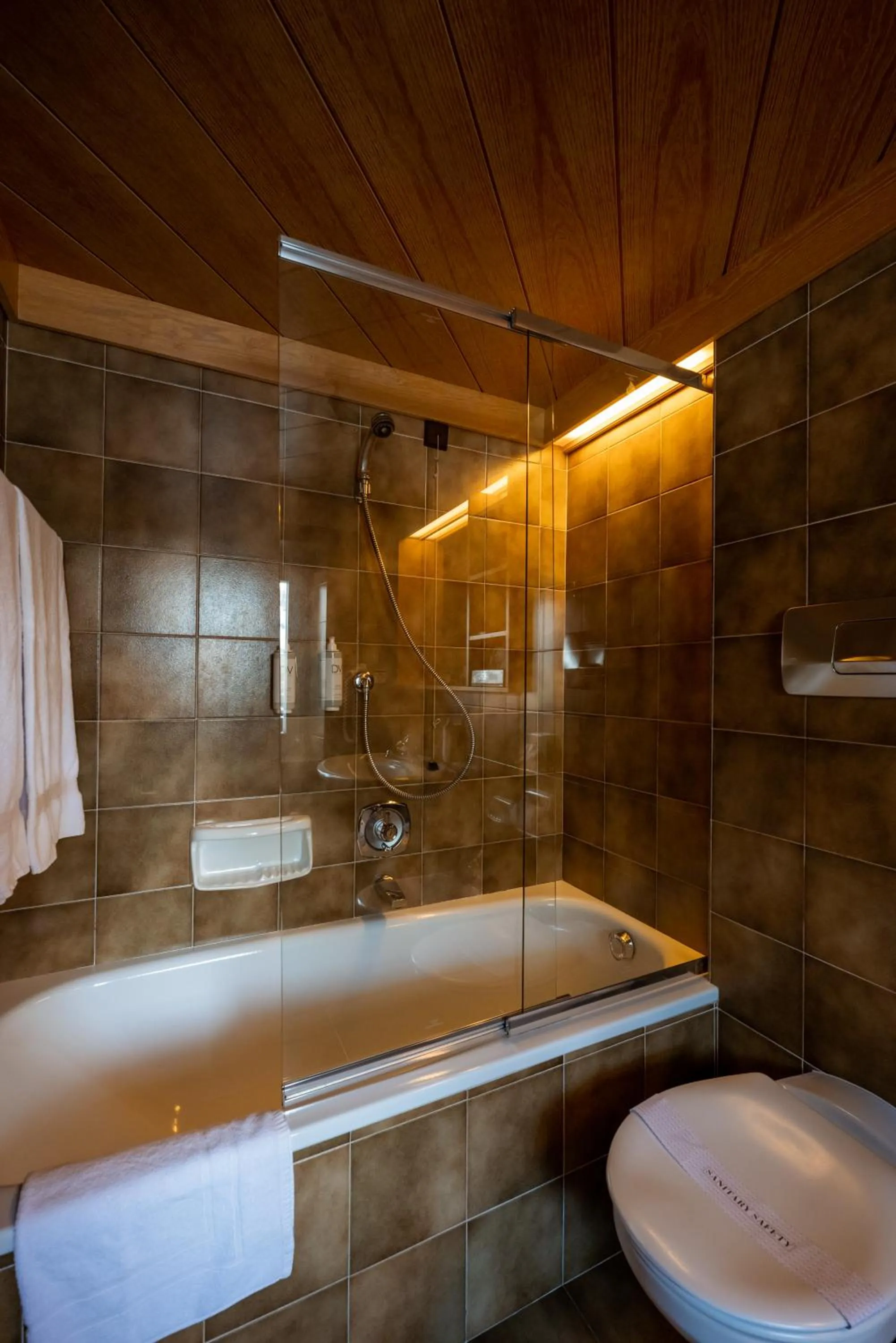 Toilet in Sporthotel Teresa